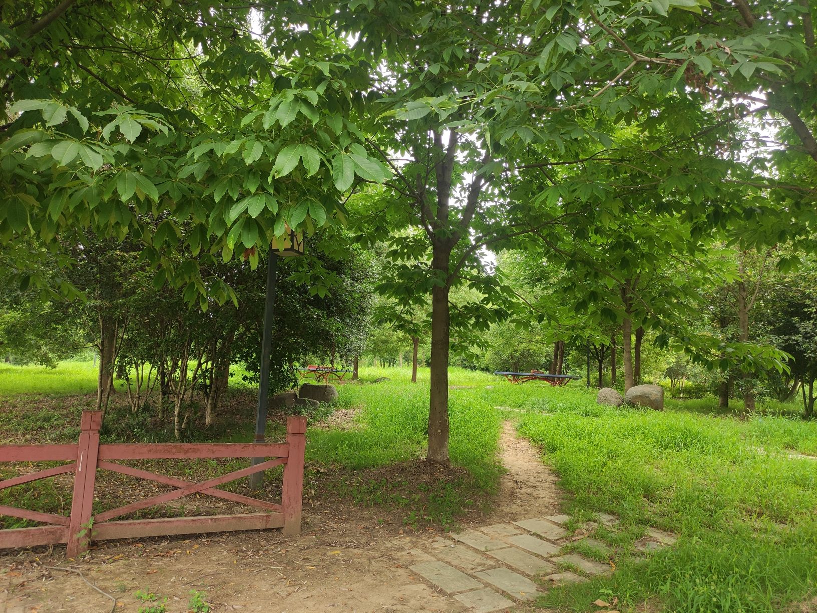 翠湖公园旅行图片 3