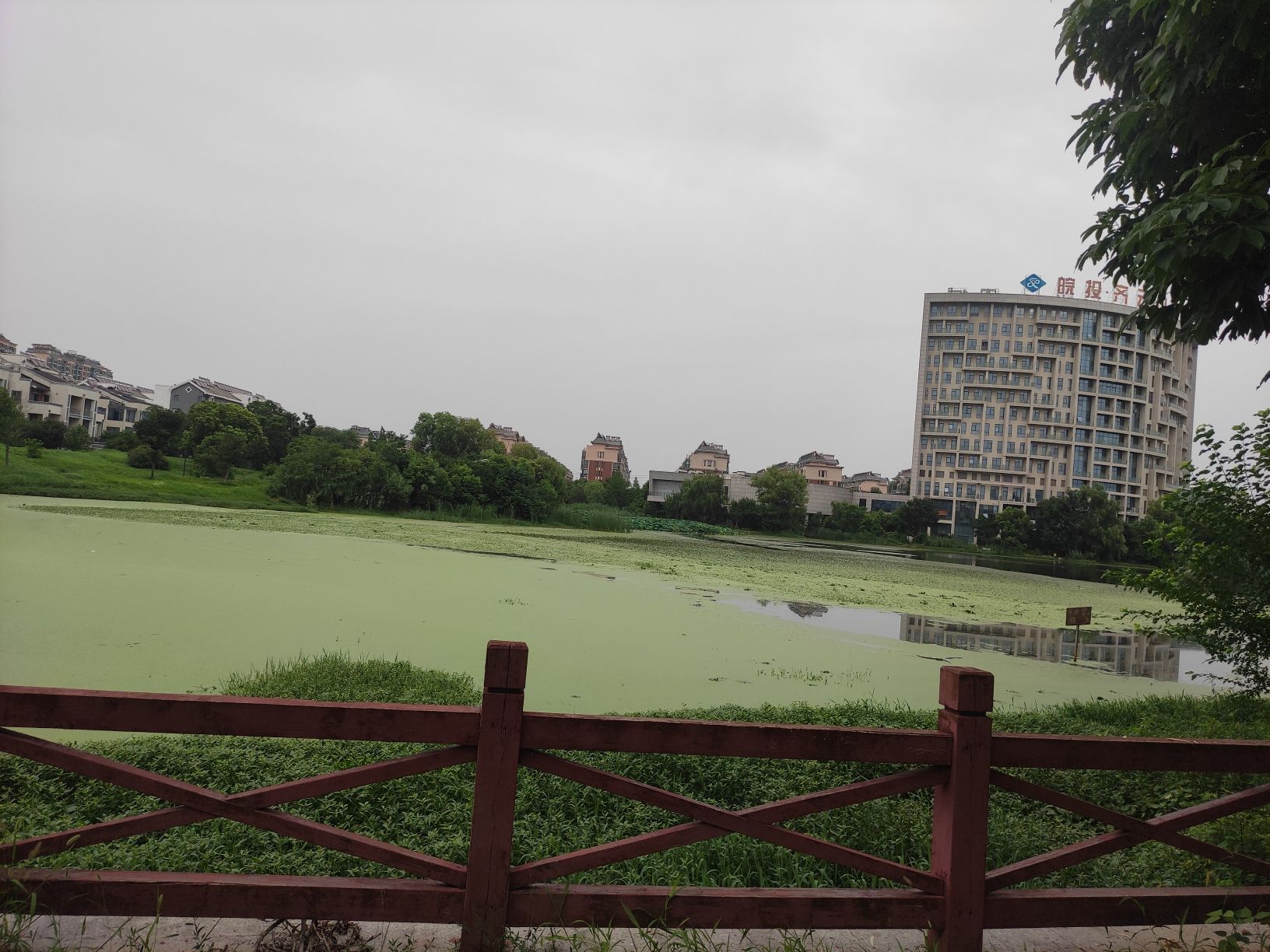 翠湖公园旅行图片 2