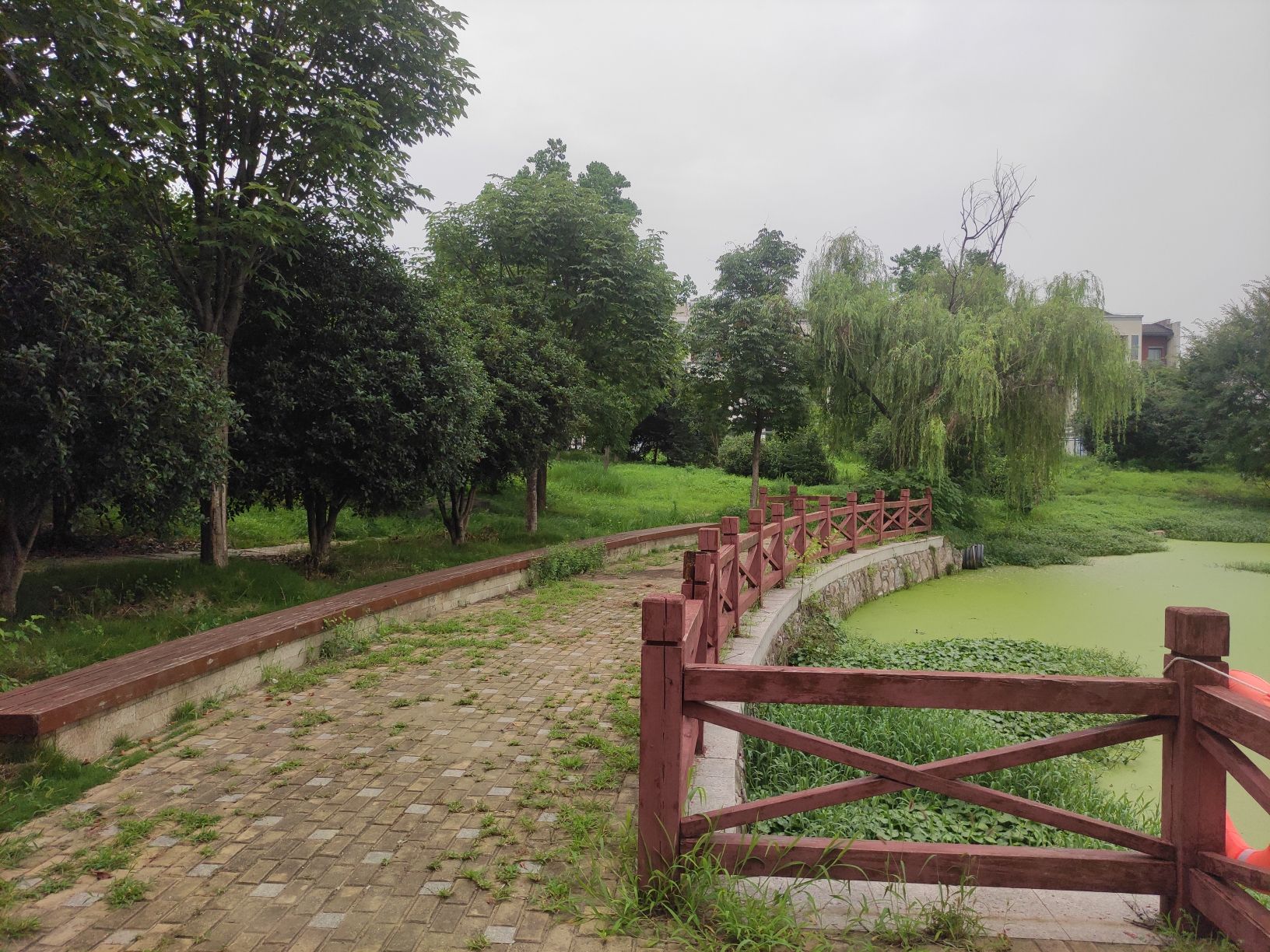 翠湖公园旅行图片 1