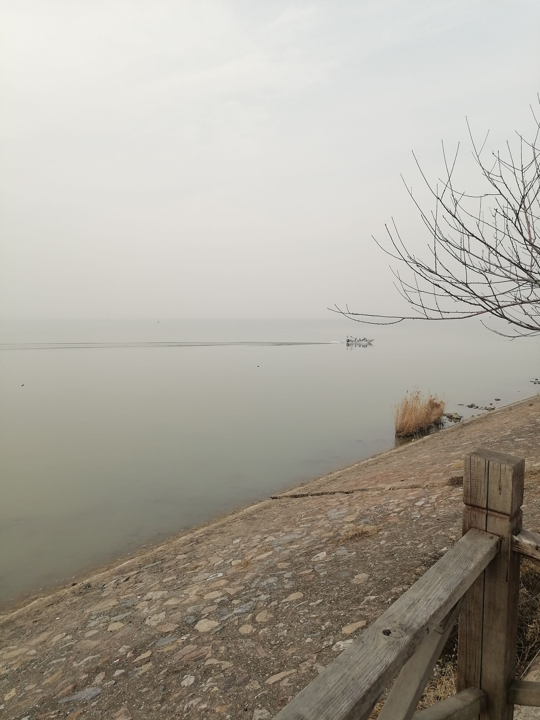 西堤风景区旅行图片 3