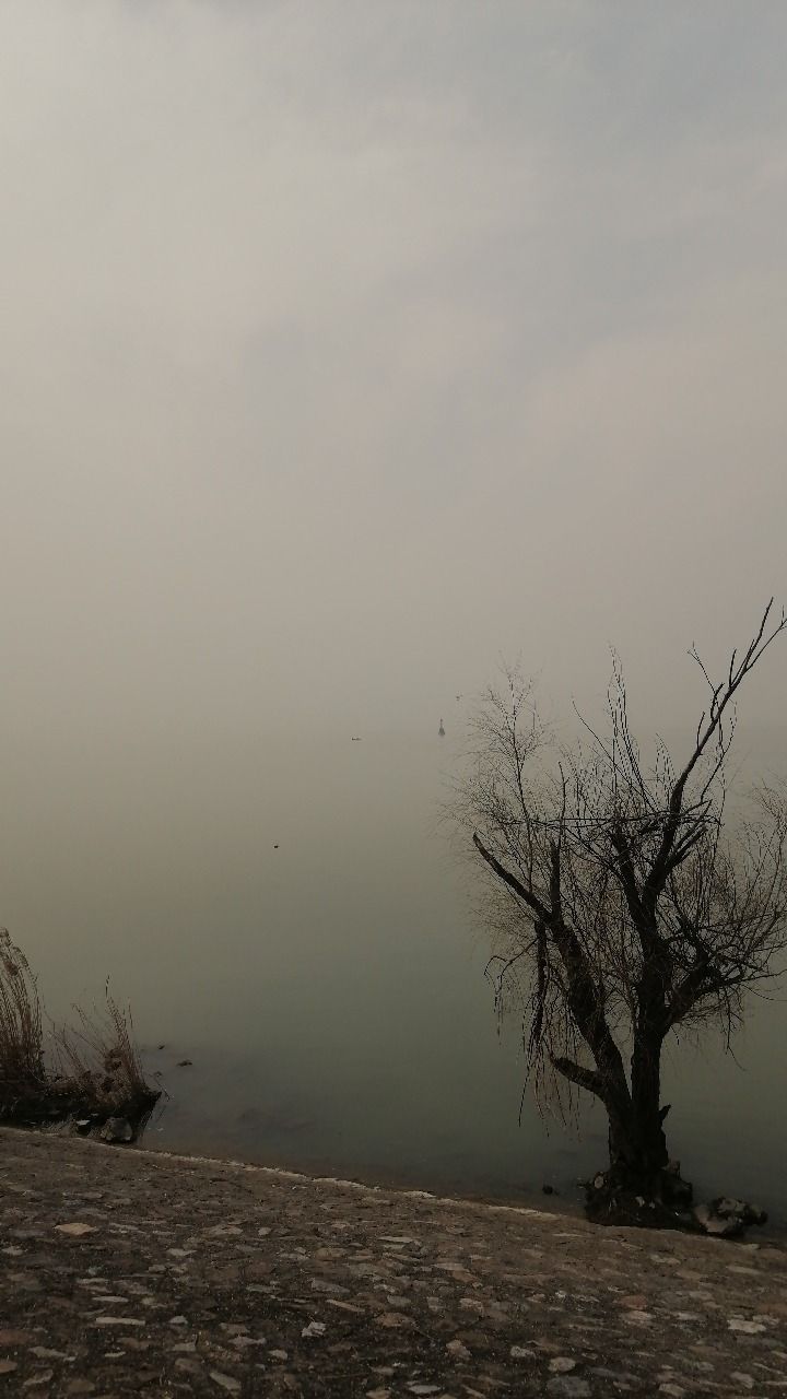 西堤风景区旅行图片 1