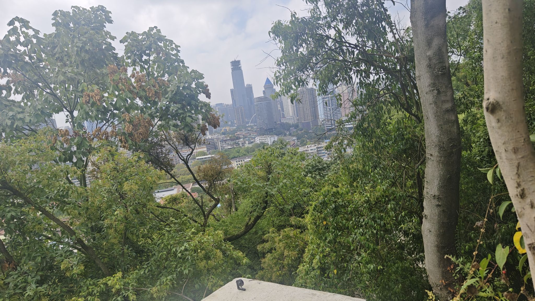观风台旅行图片 3
