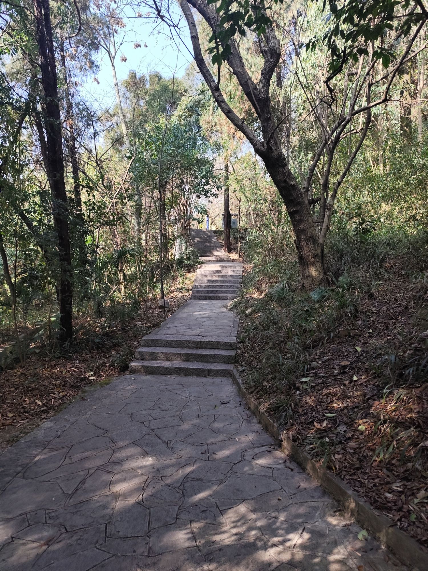 观风台旅行图片 2
