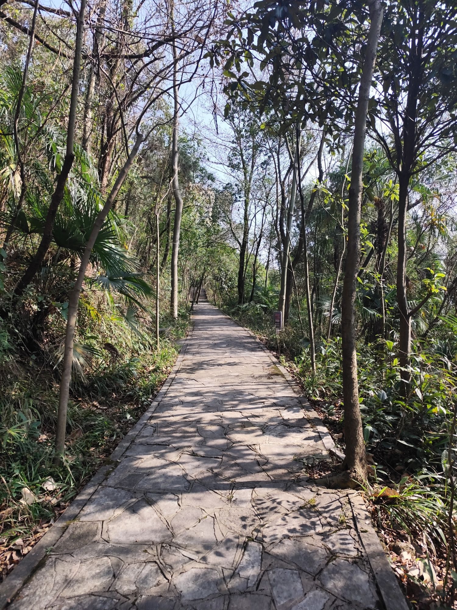 观风台旅行图片 3