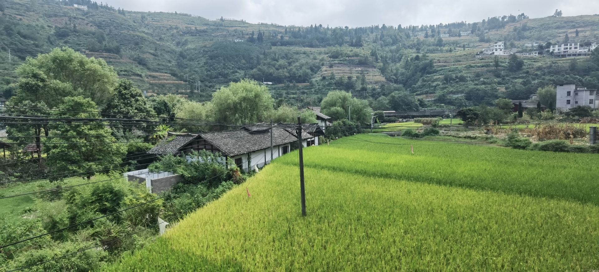 马头寨古建筑群旅行图片 1