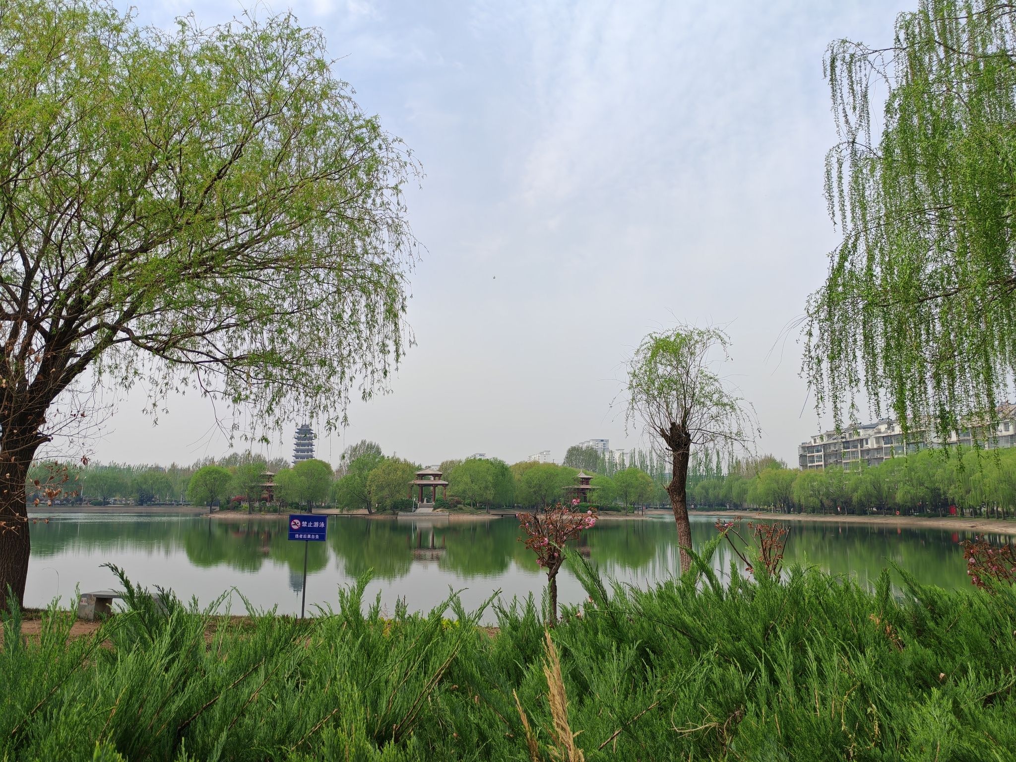 三台园旅行图片 1