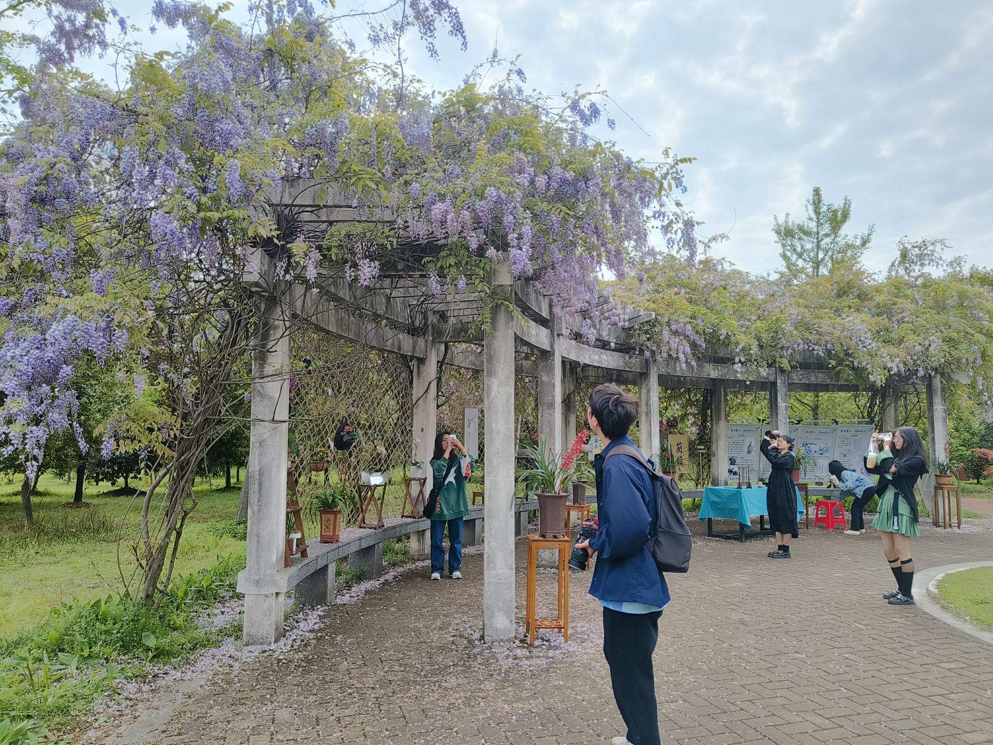 先骕园旅行图片 2