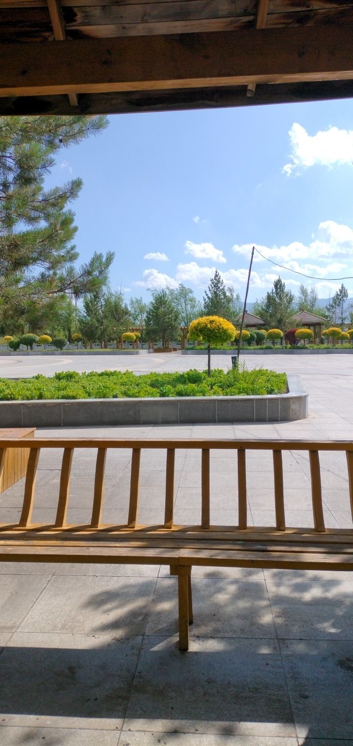 龙山公园旅行图片 1