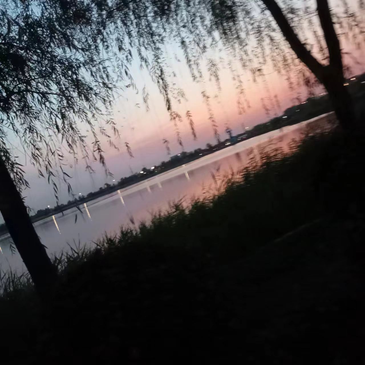 龙湖公园旅行图片 2