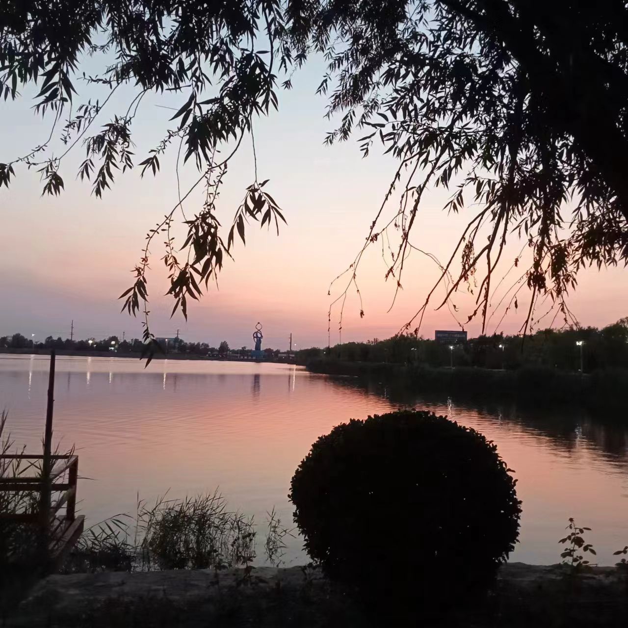 龙湖公园旅行图片 1