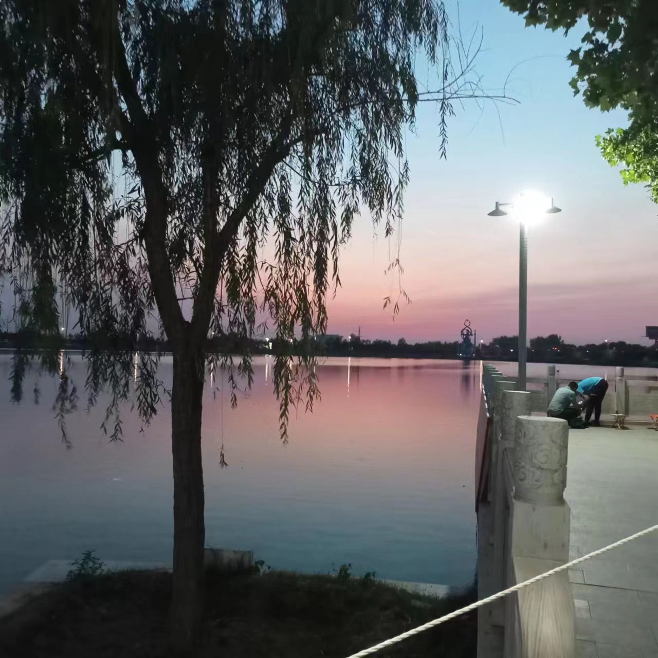 龙湖公园旅行图片 3