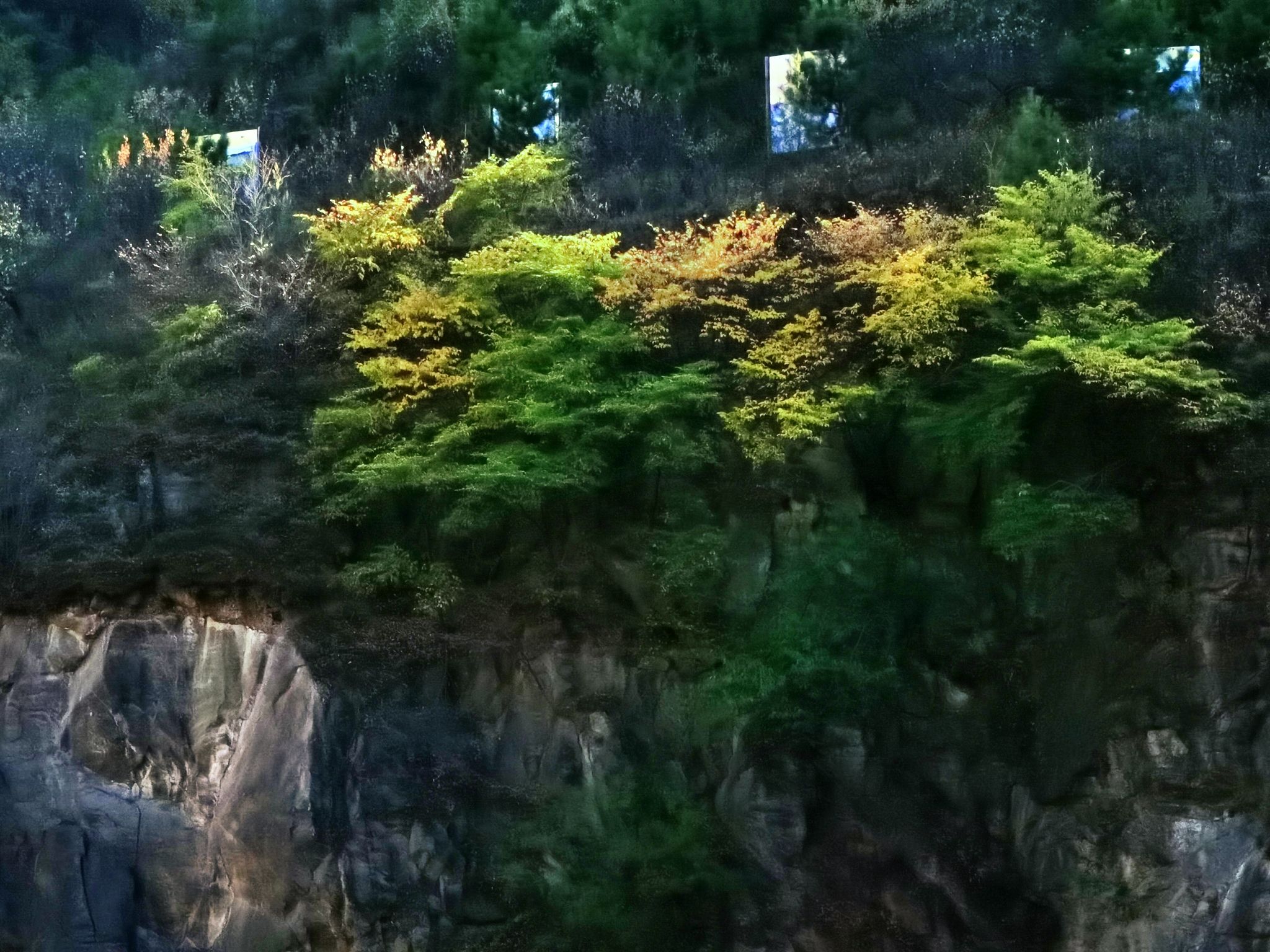 牛角湖旅行图片 3
