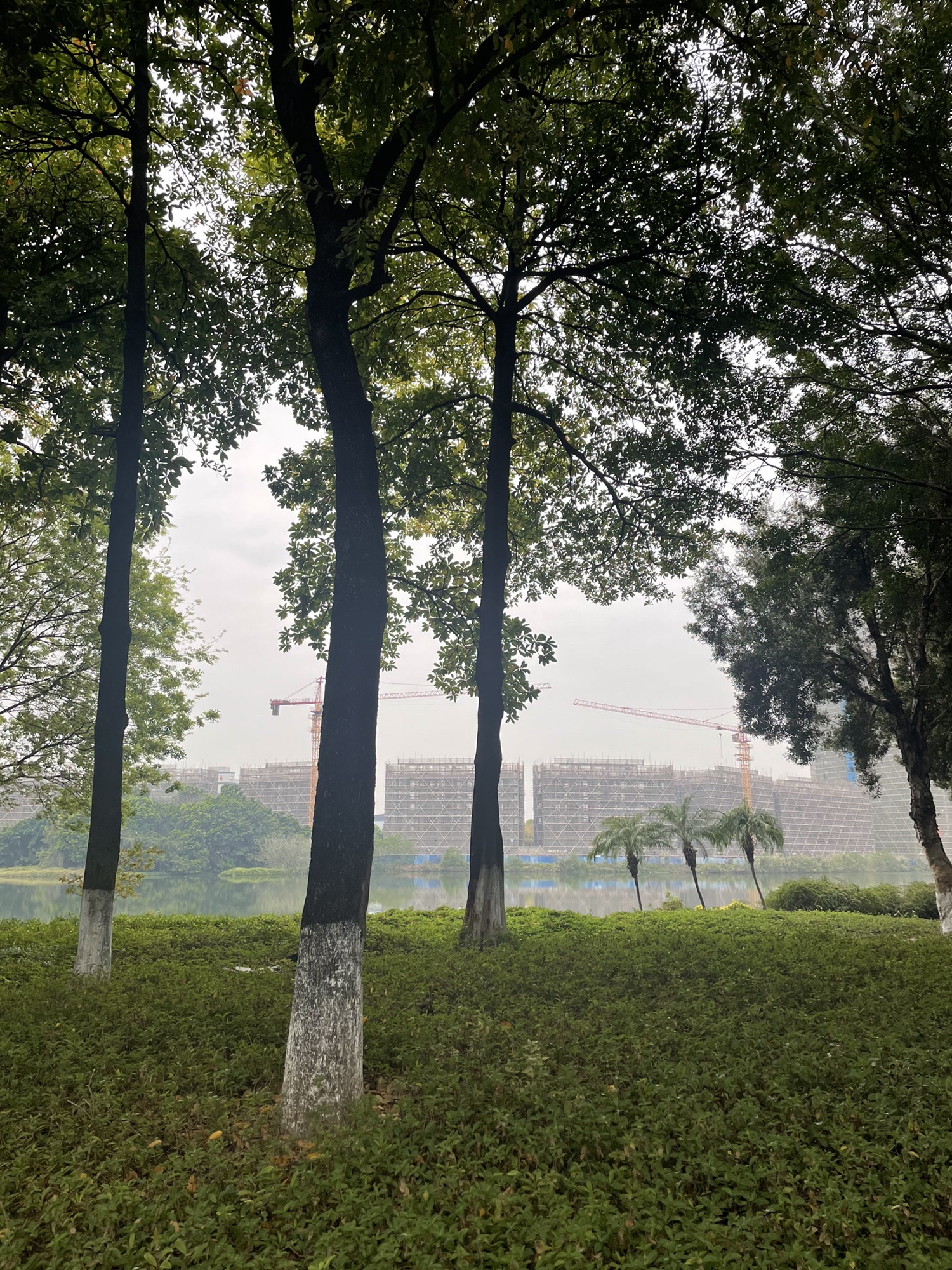 湖心公园旅行图片 3