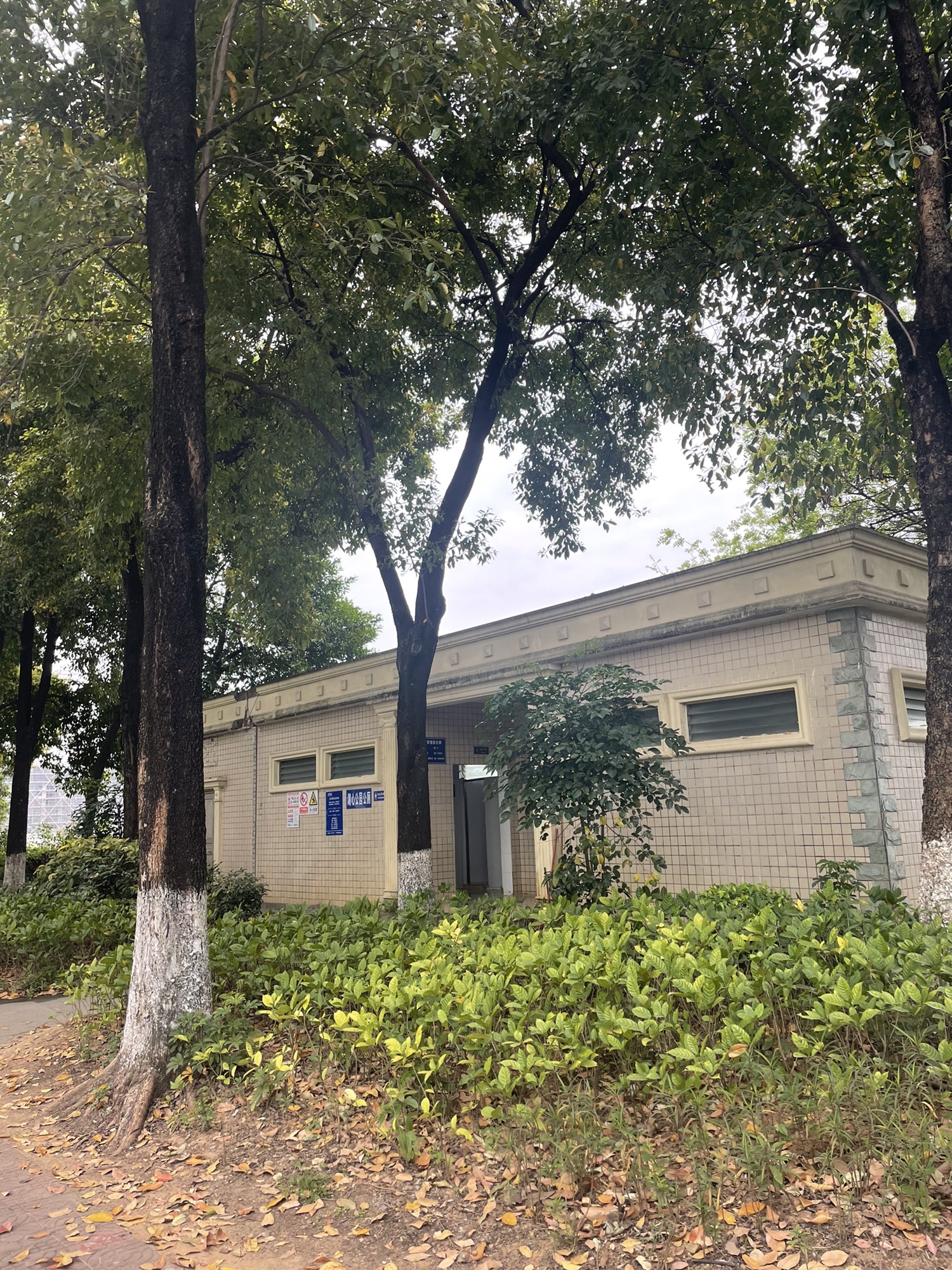 湖心公园旅行图片 2