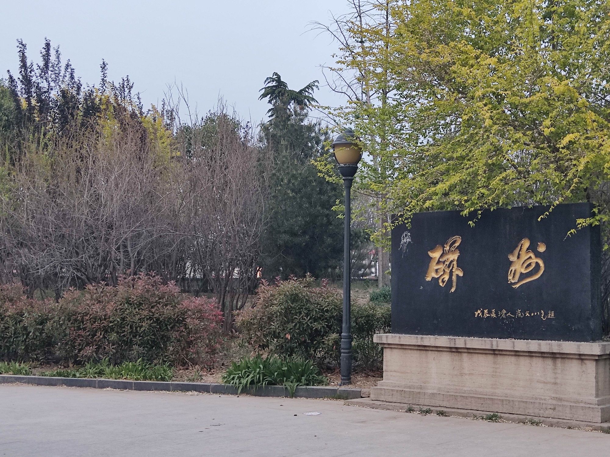 西海公园旅行图片 3