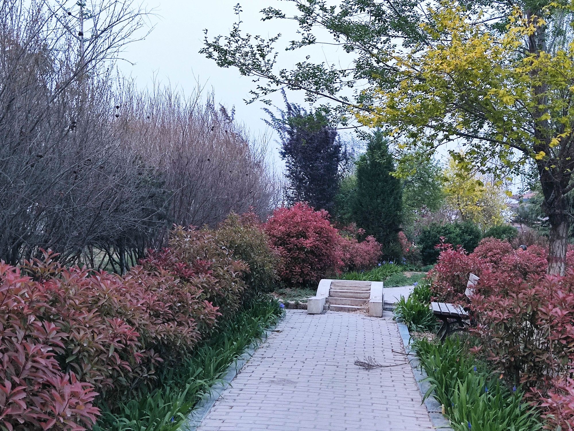 西海公园旅行图片 2