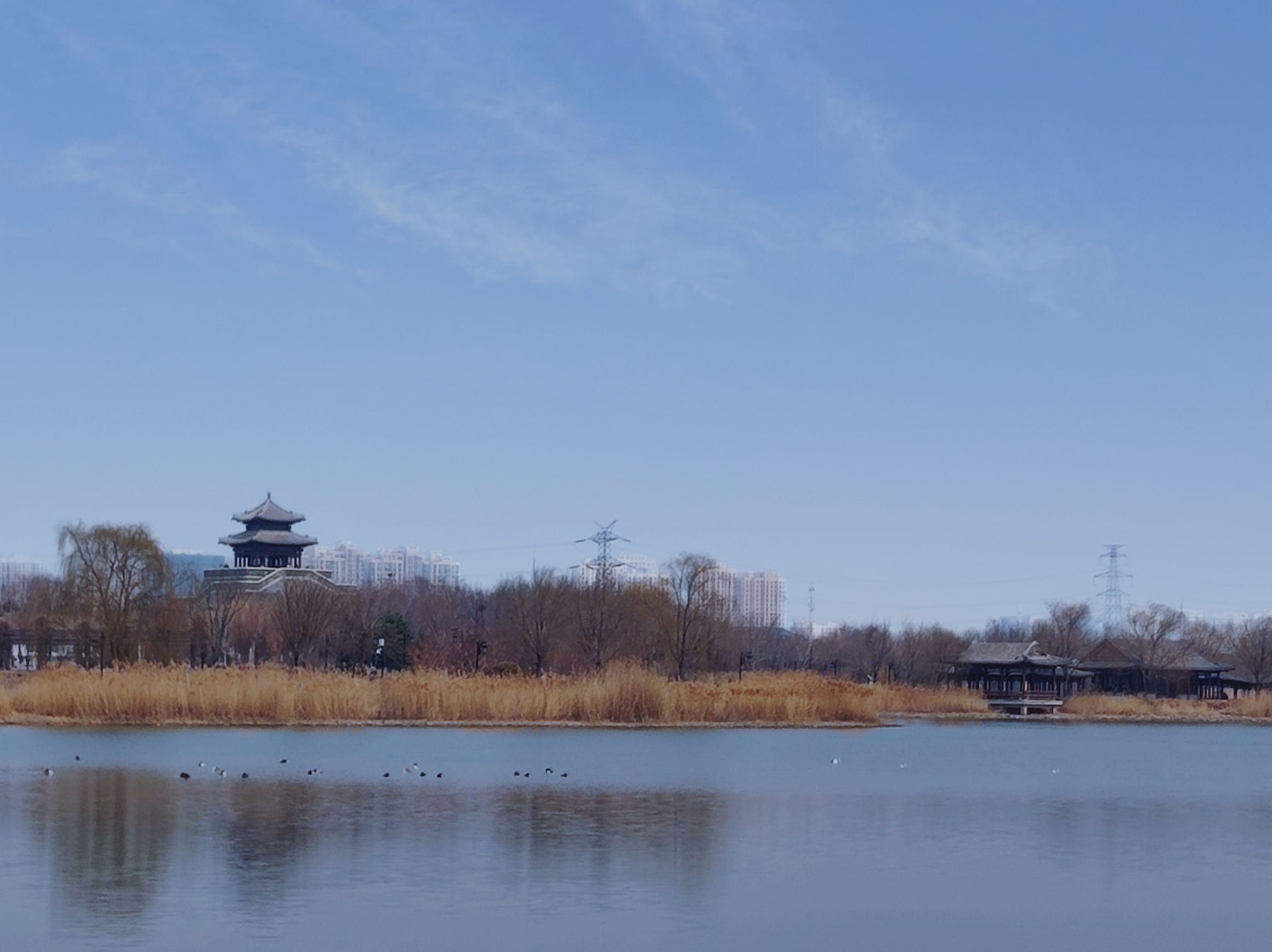 水西公园旅行图片 1