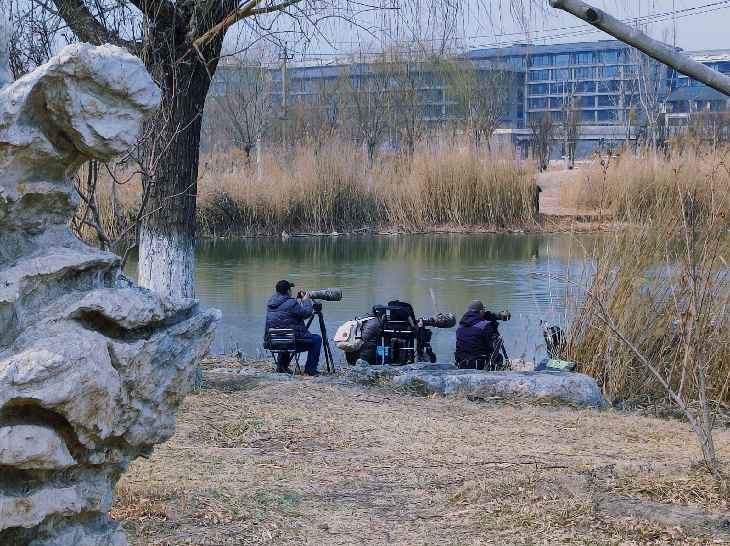水西公园旅行图片 3