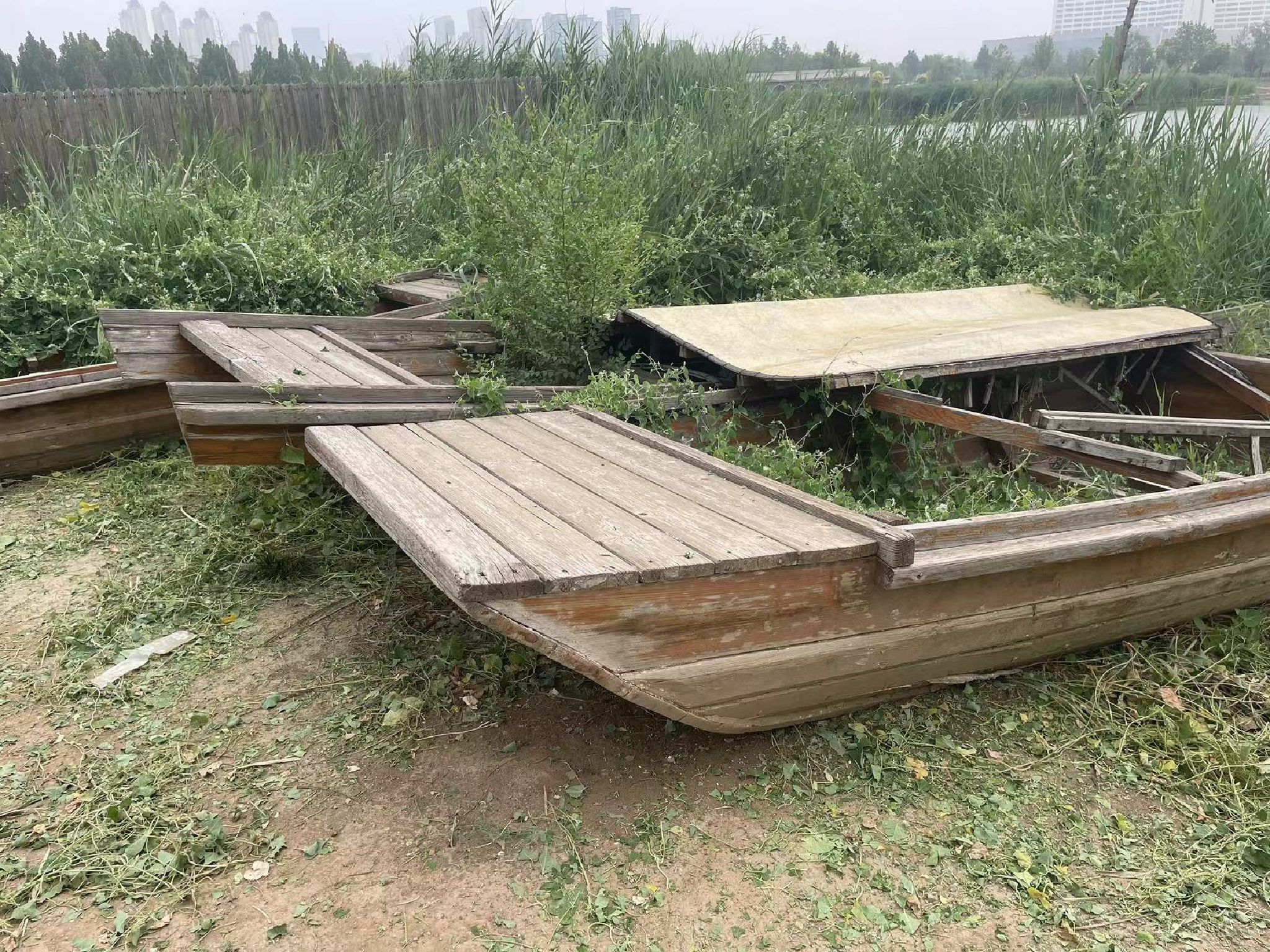水西公园旅行图片 1