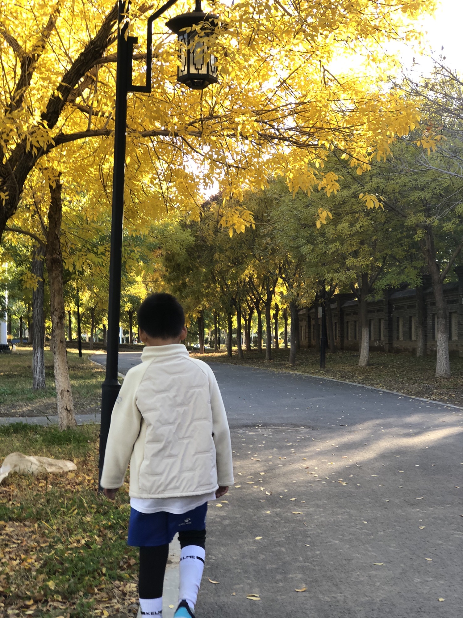 水西公园旅行图片 1