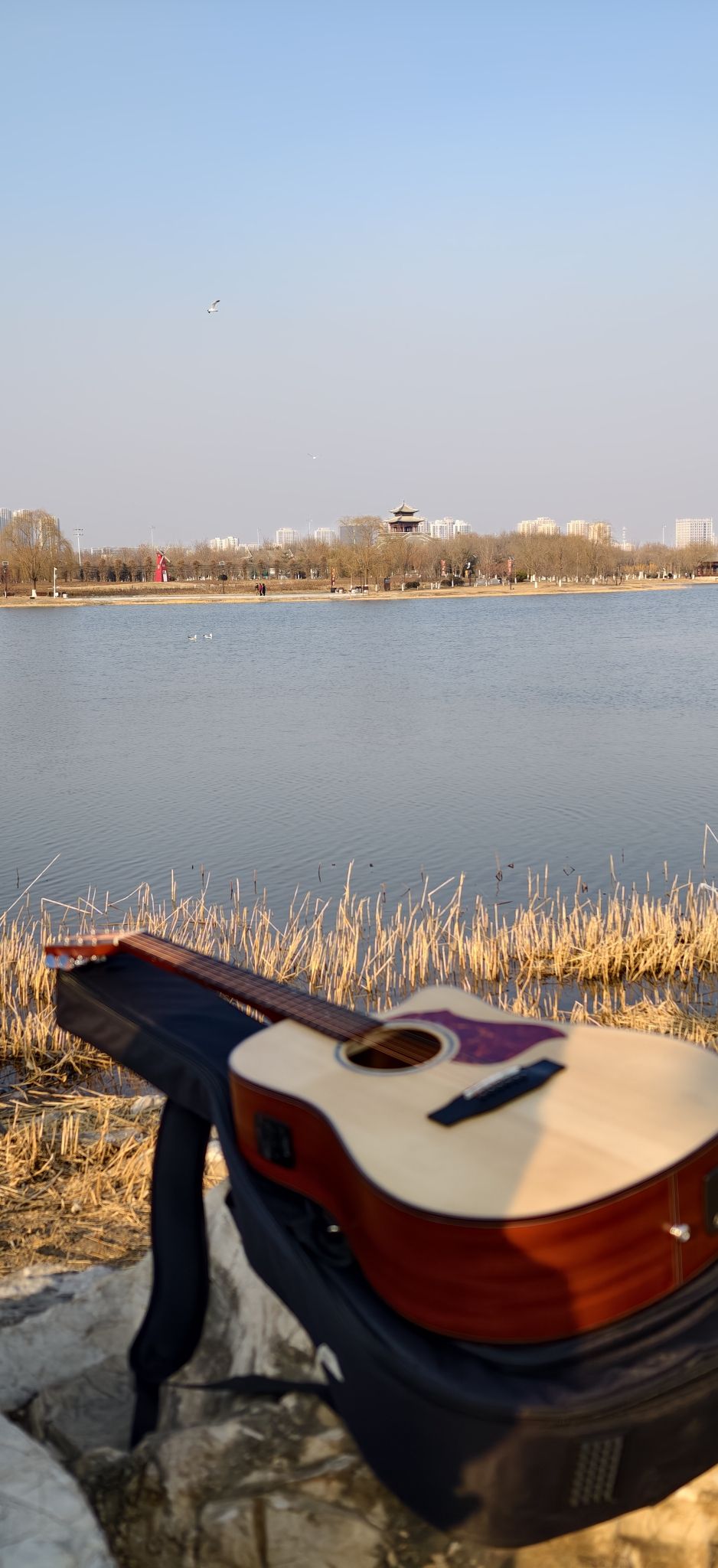 水西公园旅行图片 1