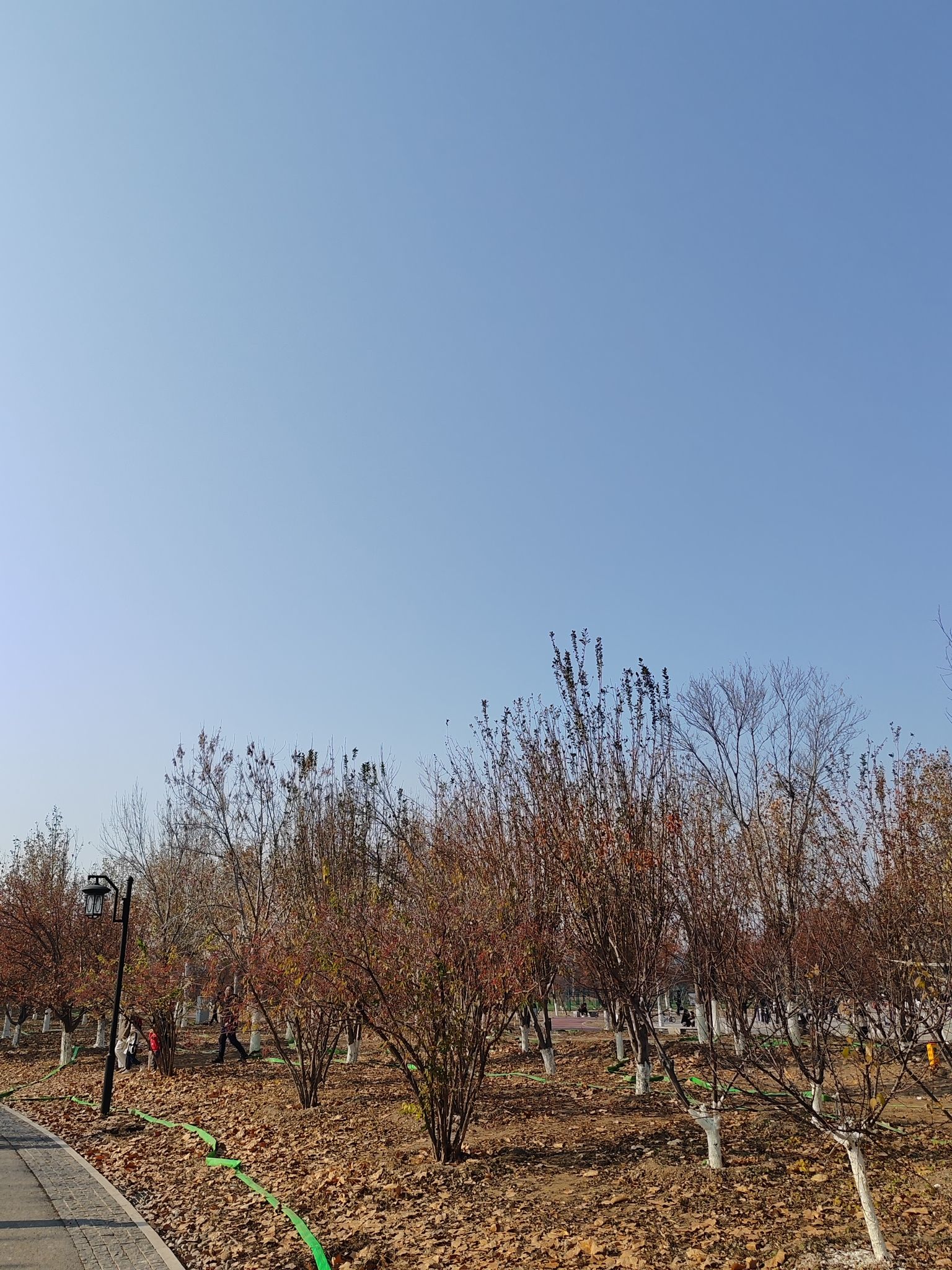 水西公园旅行图片 1