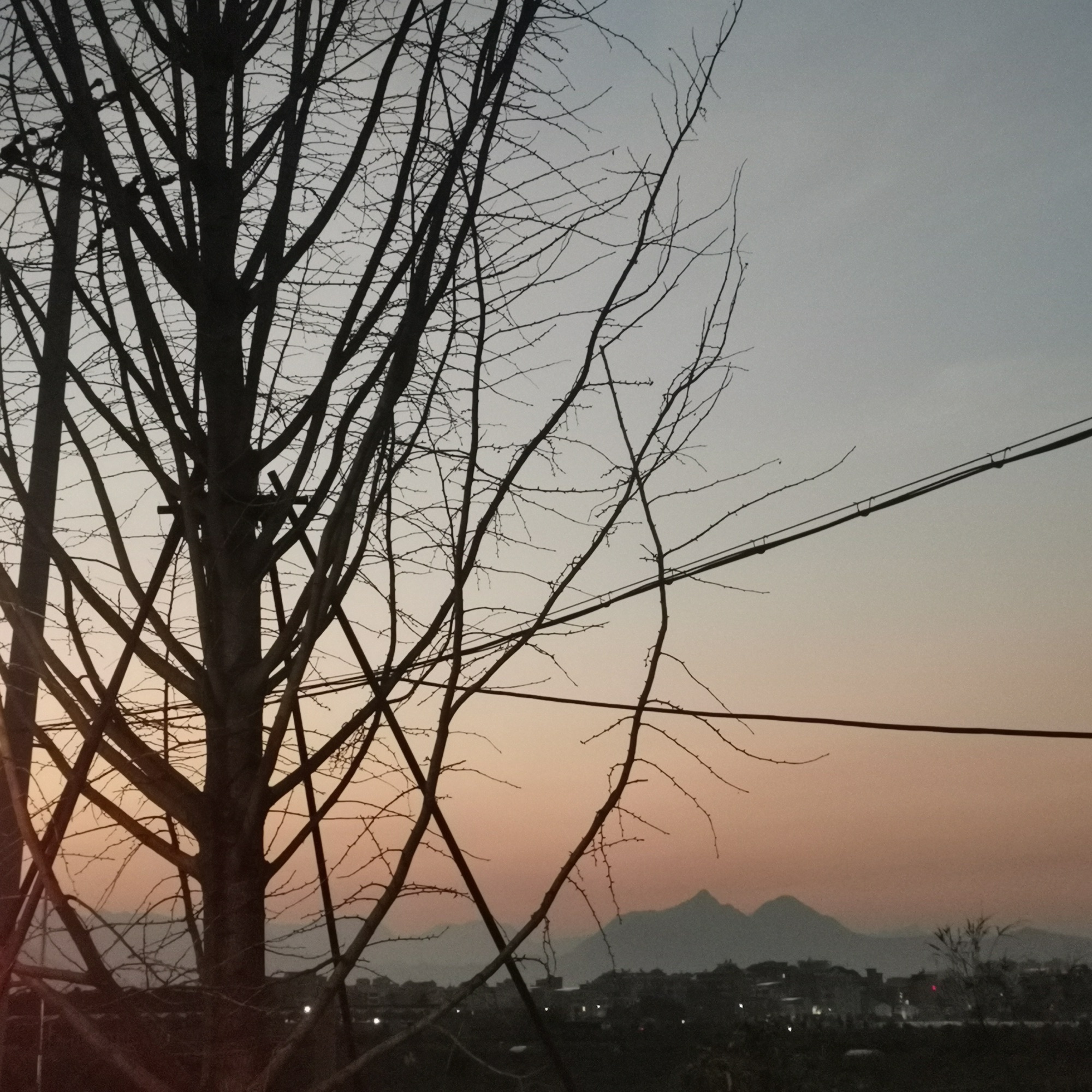 埭川公园旅行图片 2
