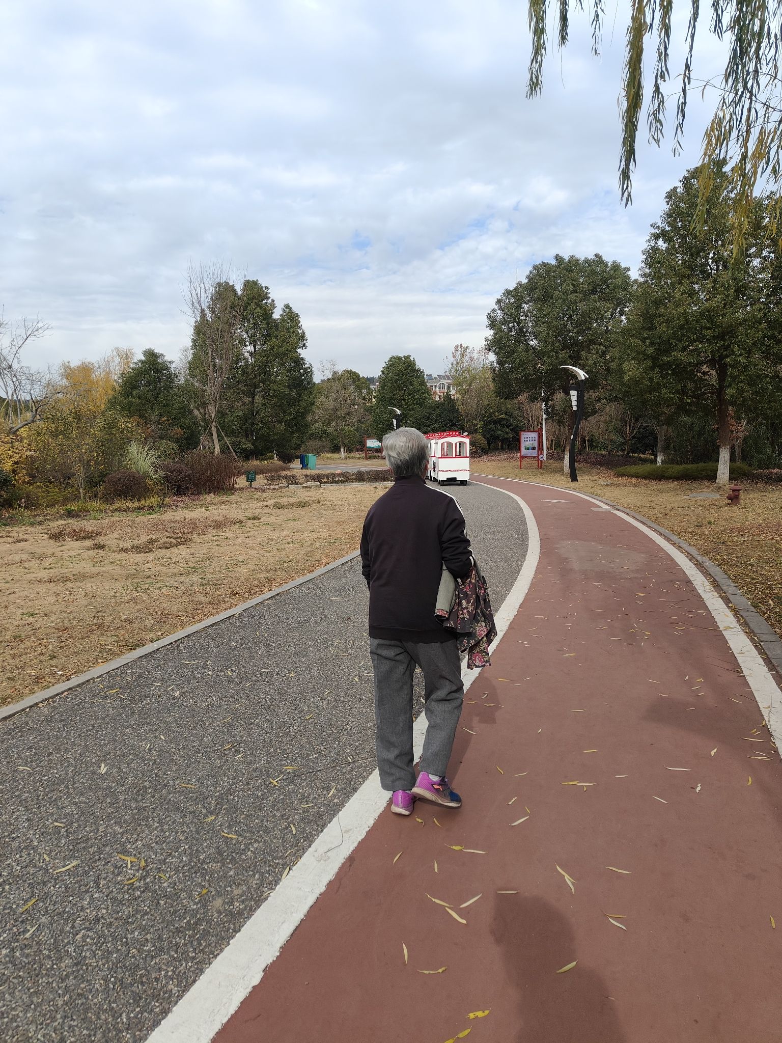 西郊公园旅行图片 2