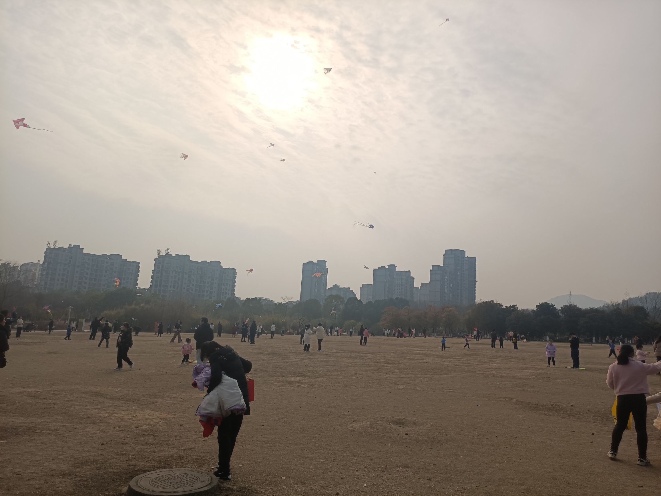 西郊公园旅行图片 1