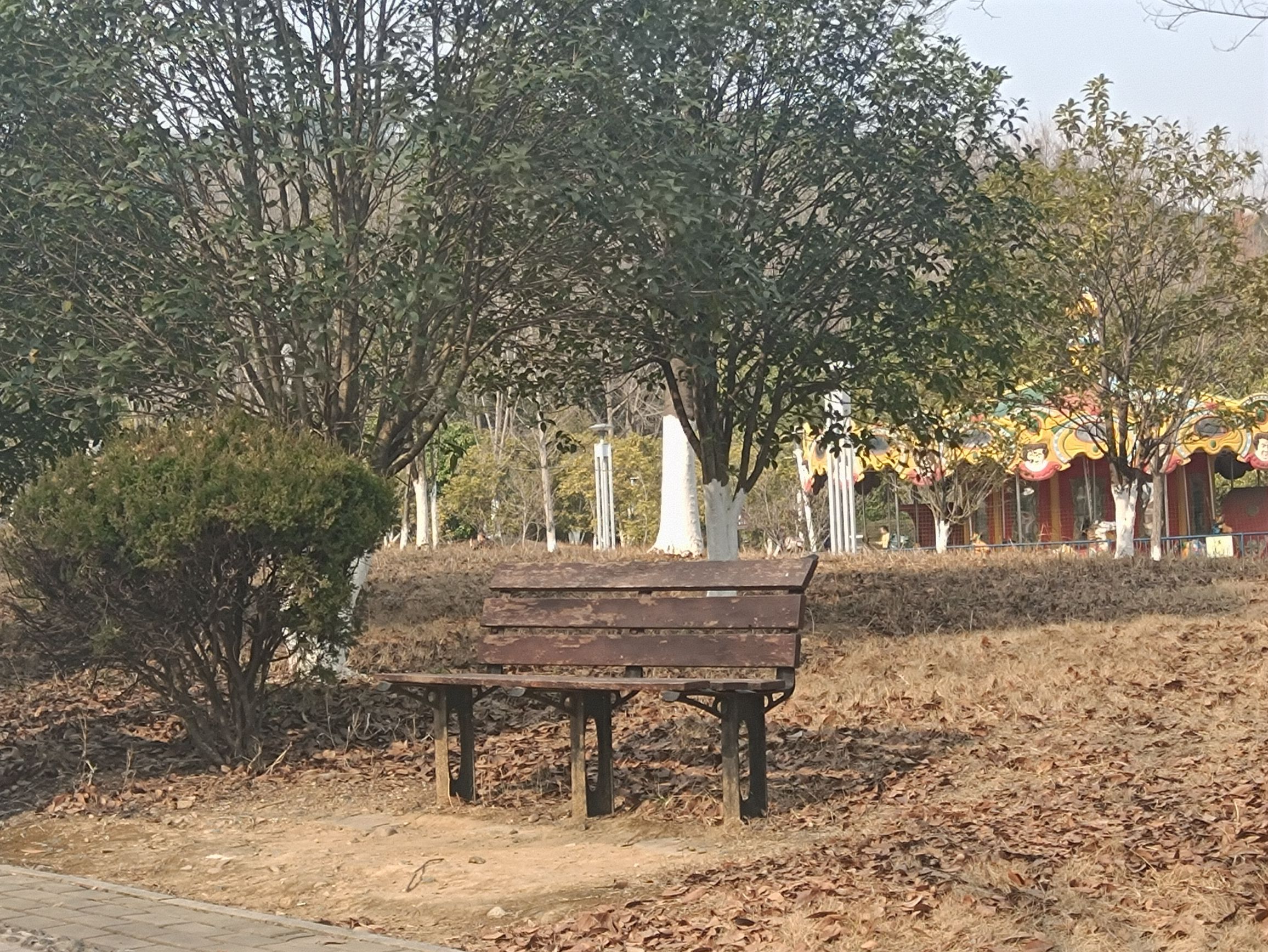 西郊公园旅行图片 3