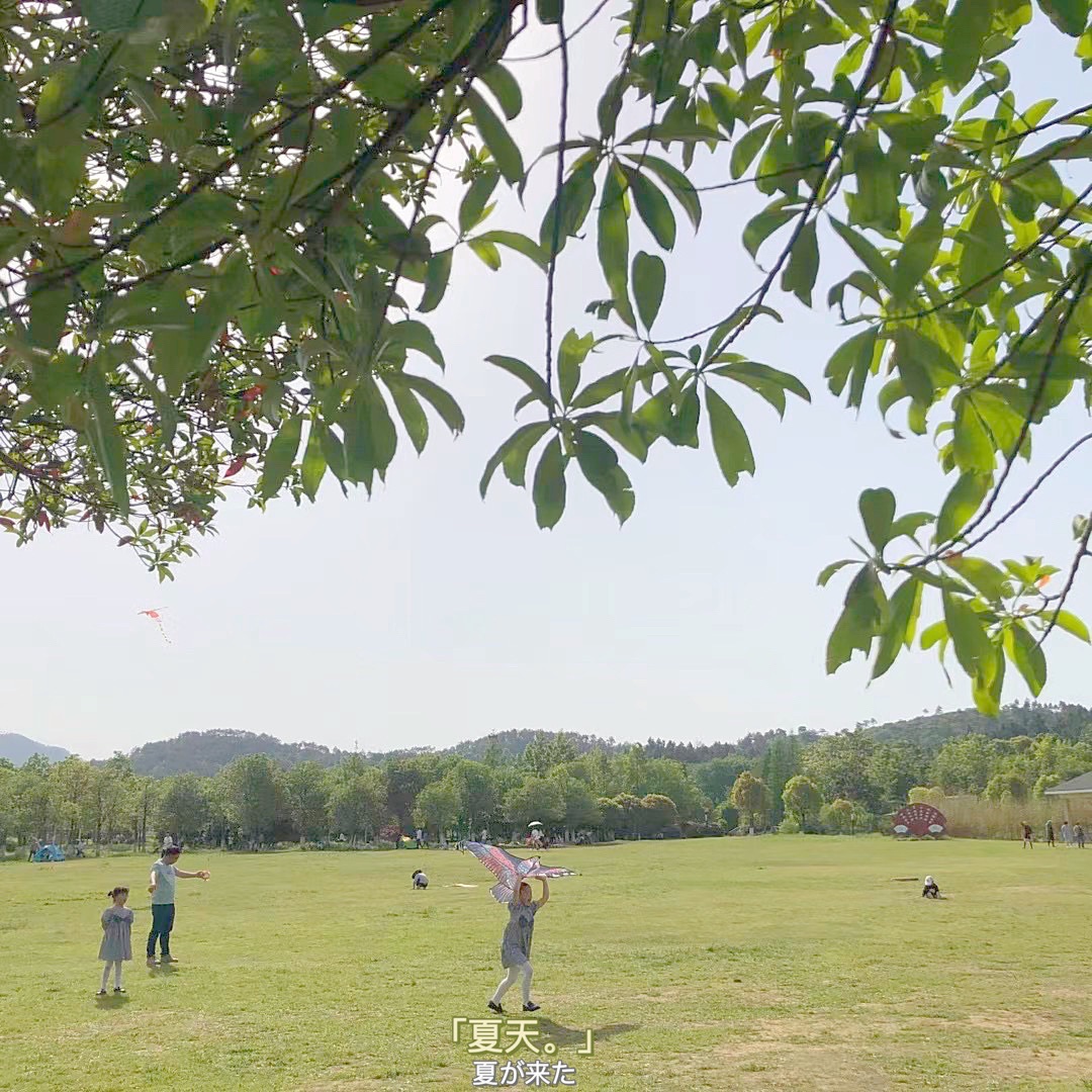 西郊公园旅行图片 1