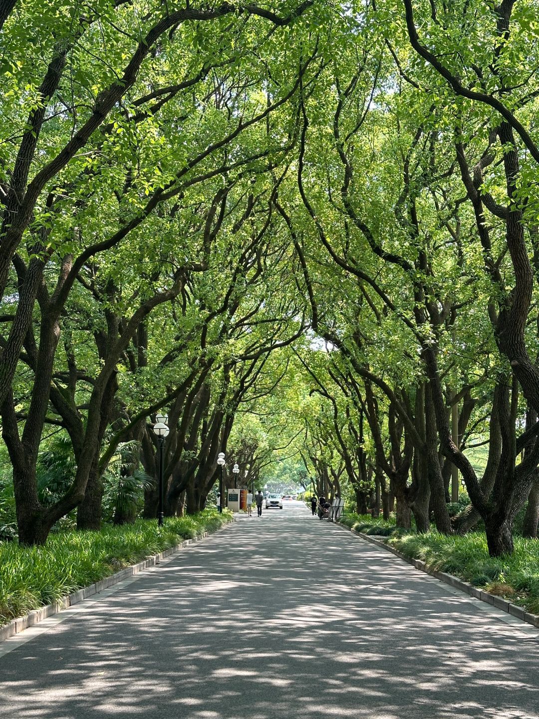 西郊公园旅行图片 2