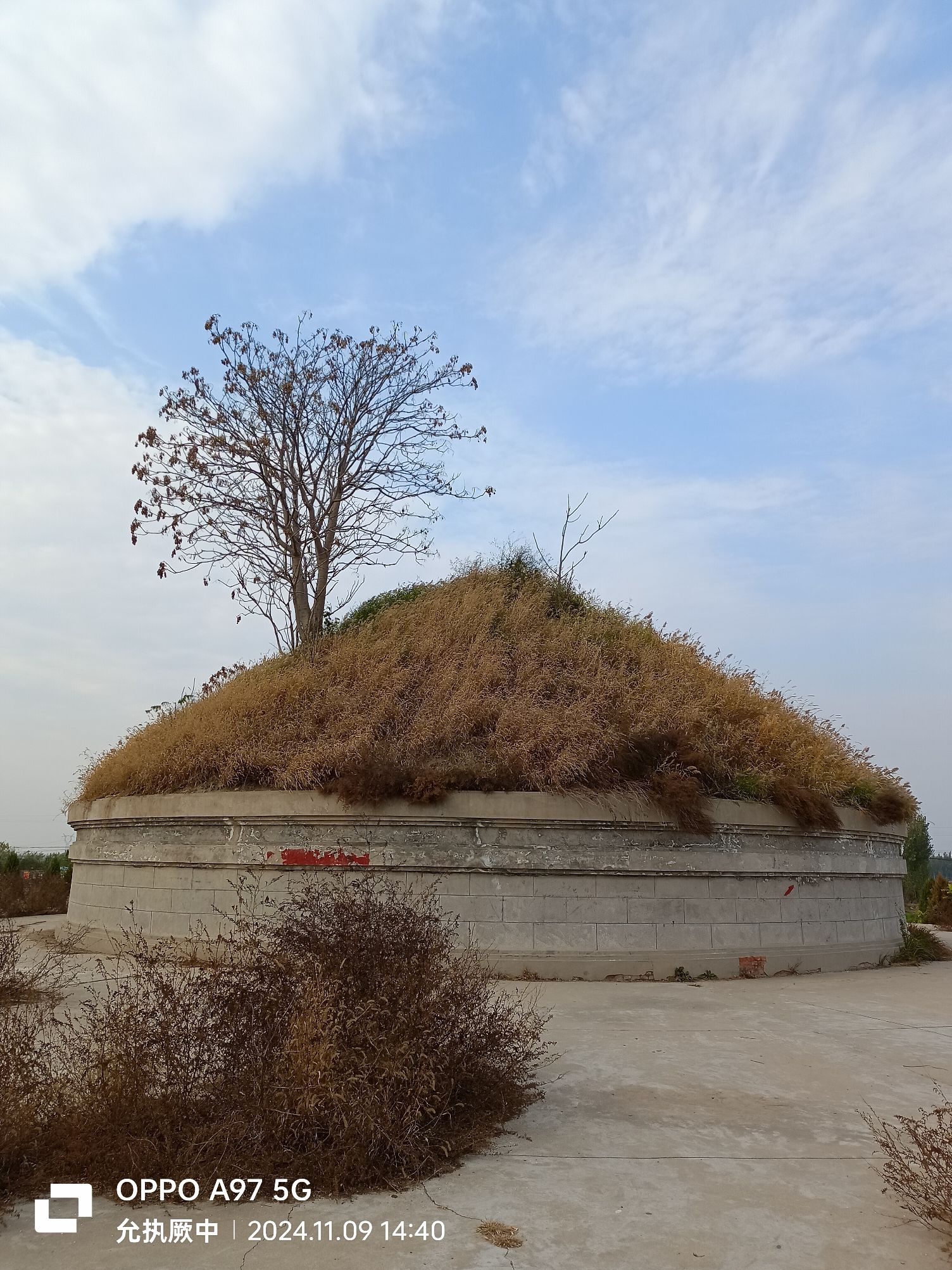 冯公国璋之墓旅行图片 2