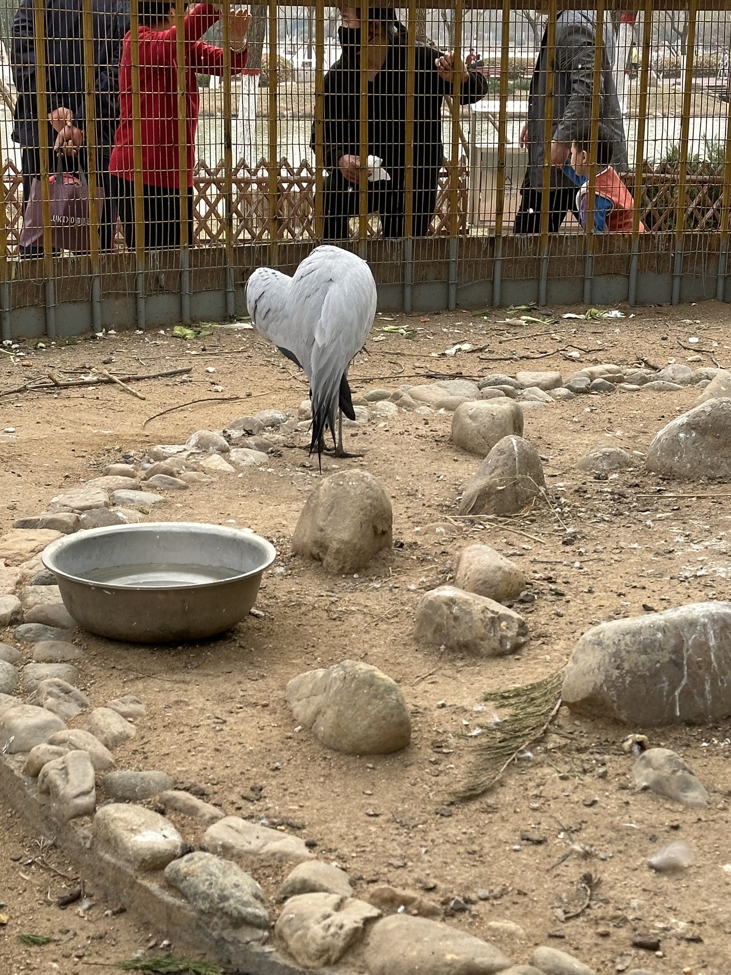 盘古公园旅行图片 3