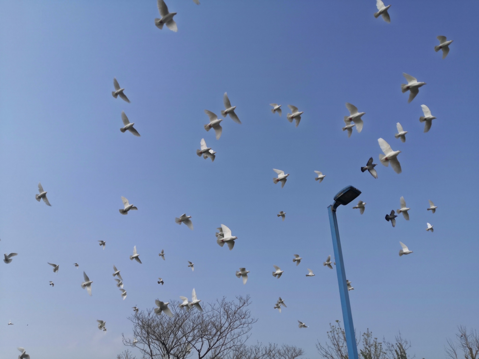 盘古公园旅行图片 1