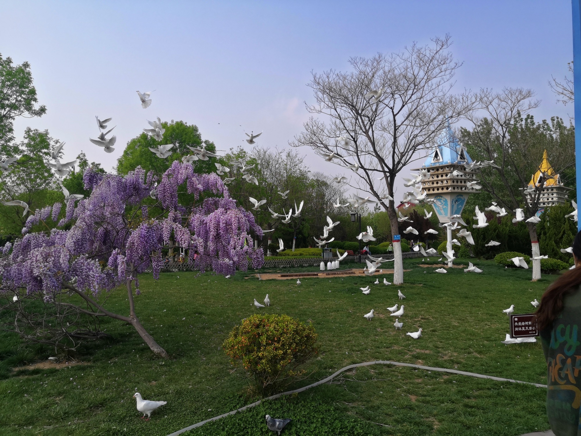盘古公园旅行图片 2