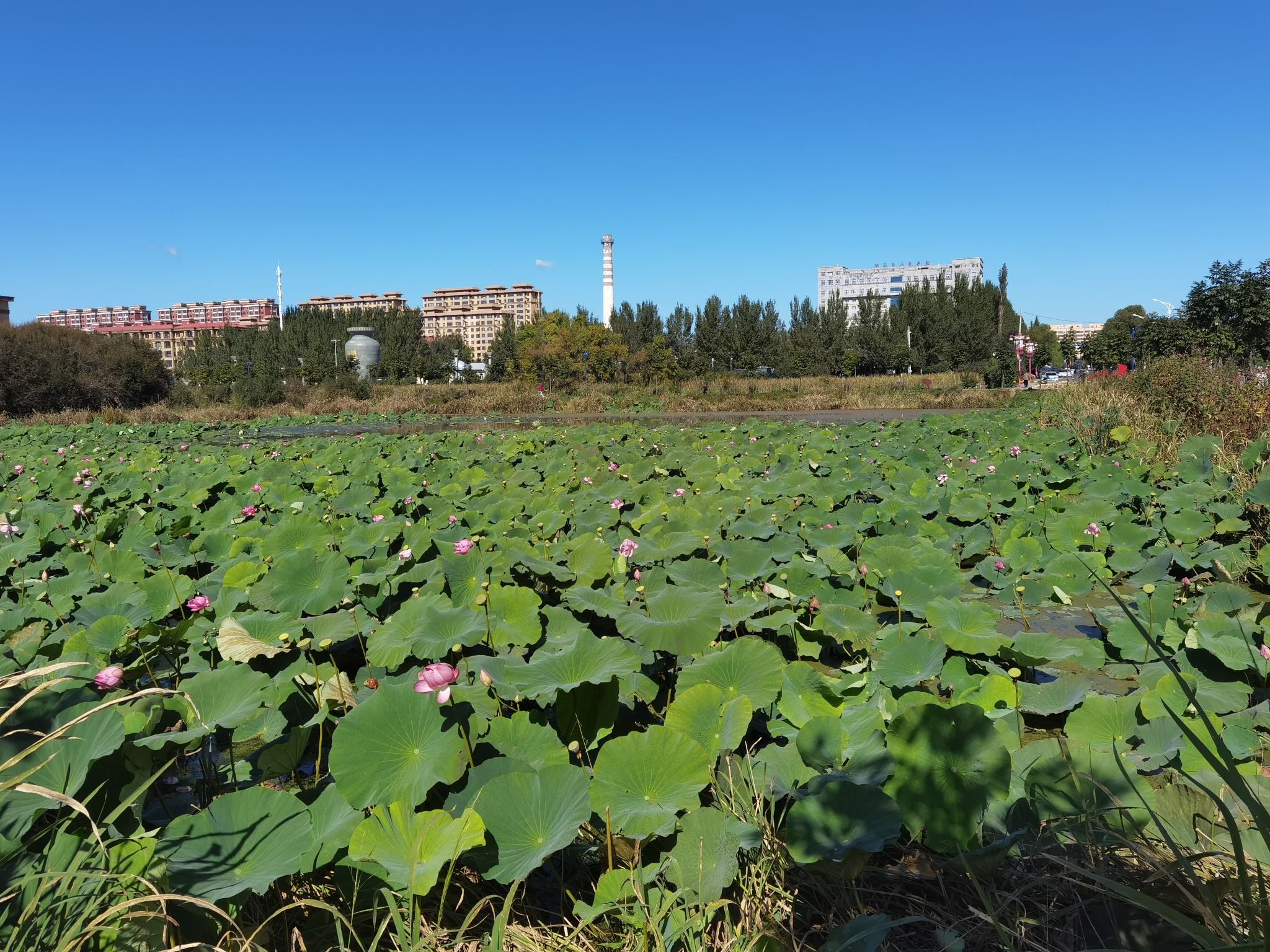 延寿蚂蜒河国家湿地公园旅行图片 1