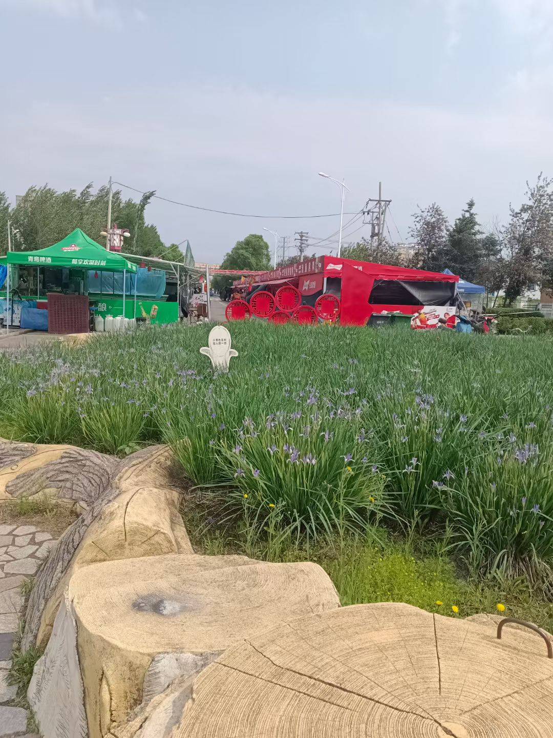 延寿蚂蜒河国家湿地公园旅行图片 3