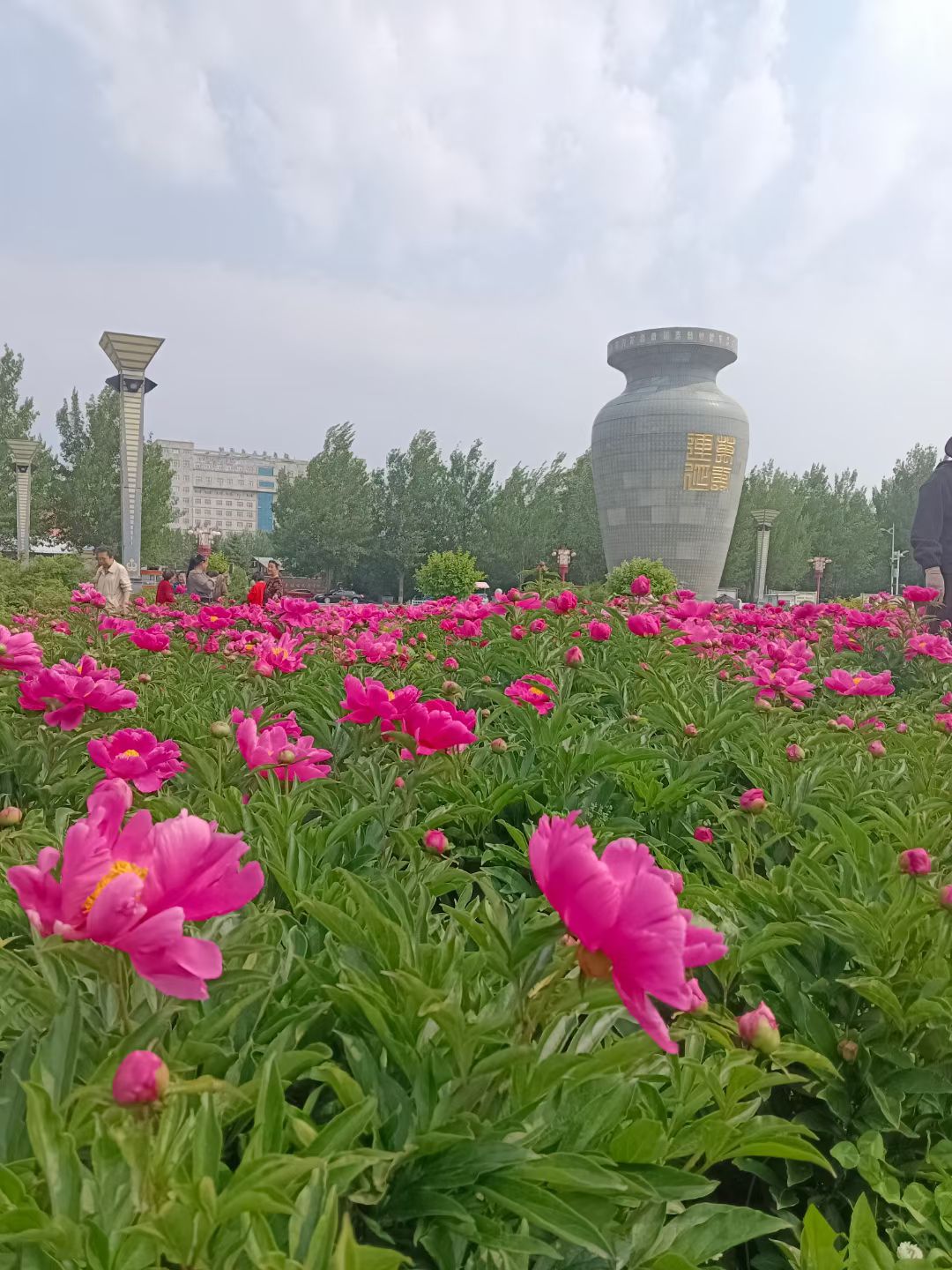 延寿蚂蜒河国家湿地公园旅行图片 1