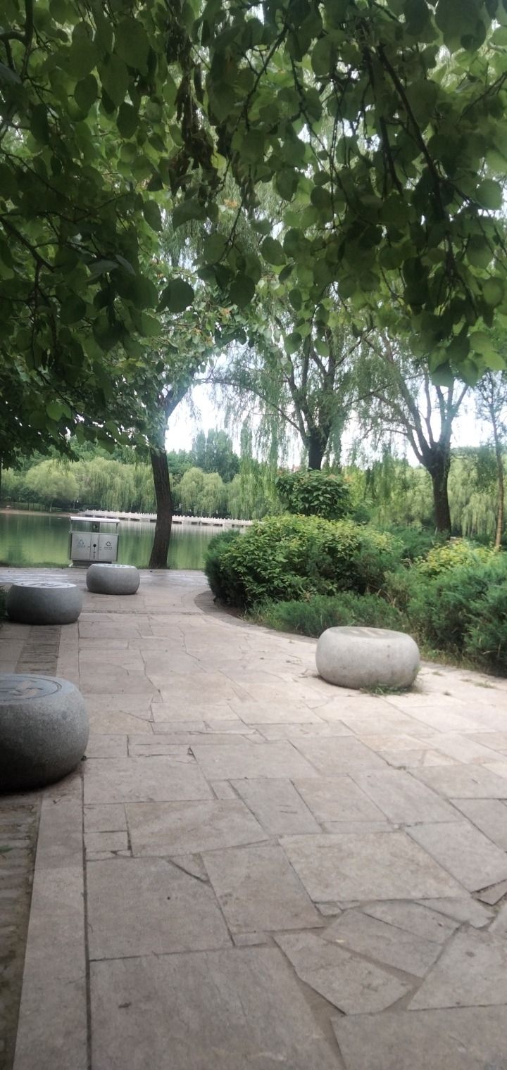 六朝园旅行图片 1