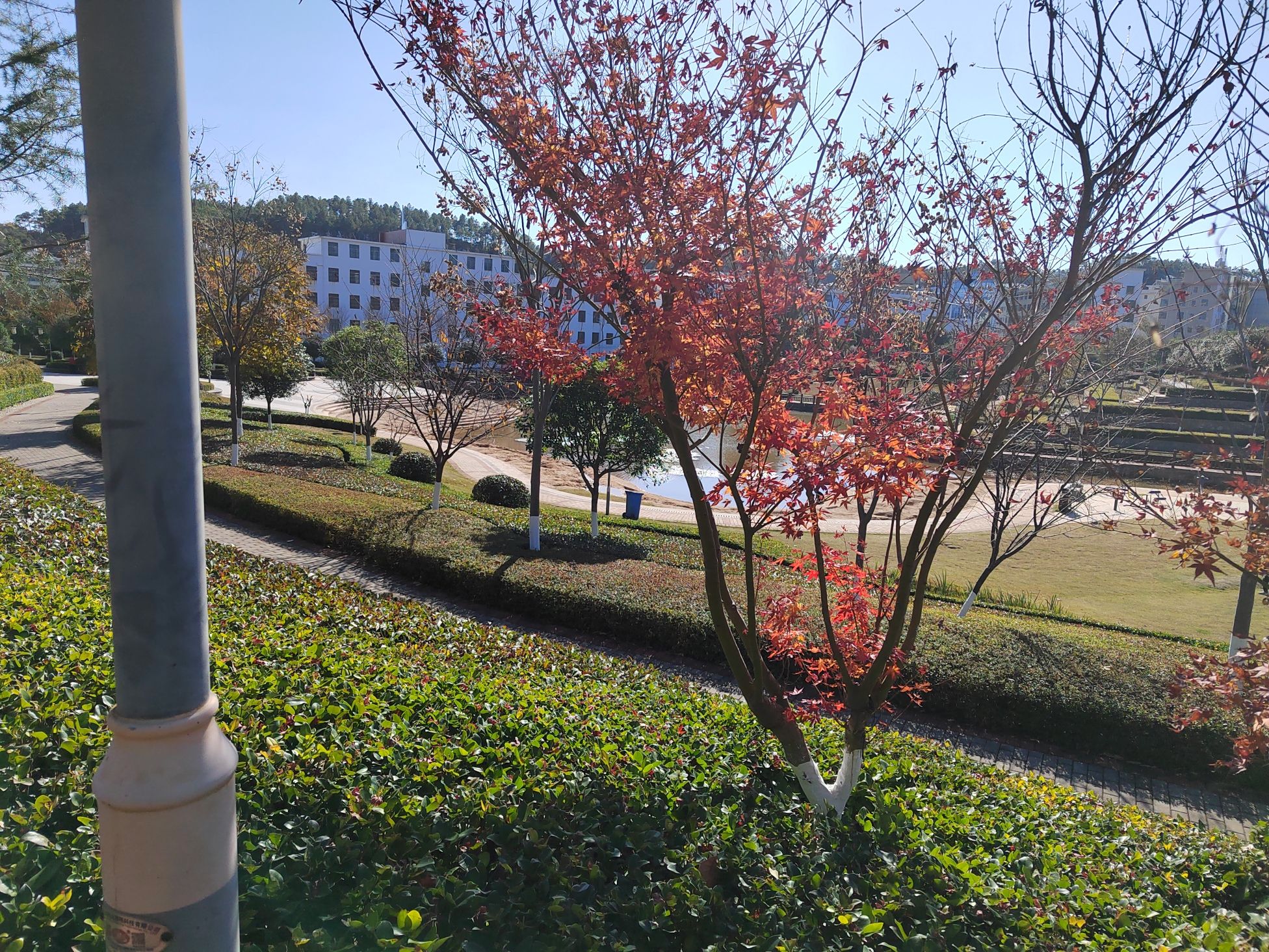 黄岗山公园旅行图片 1