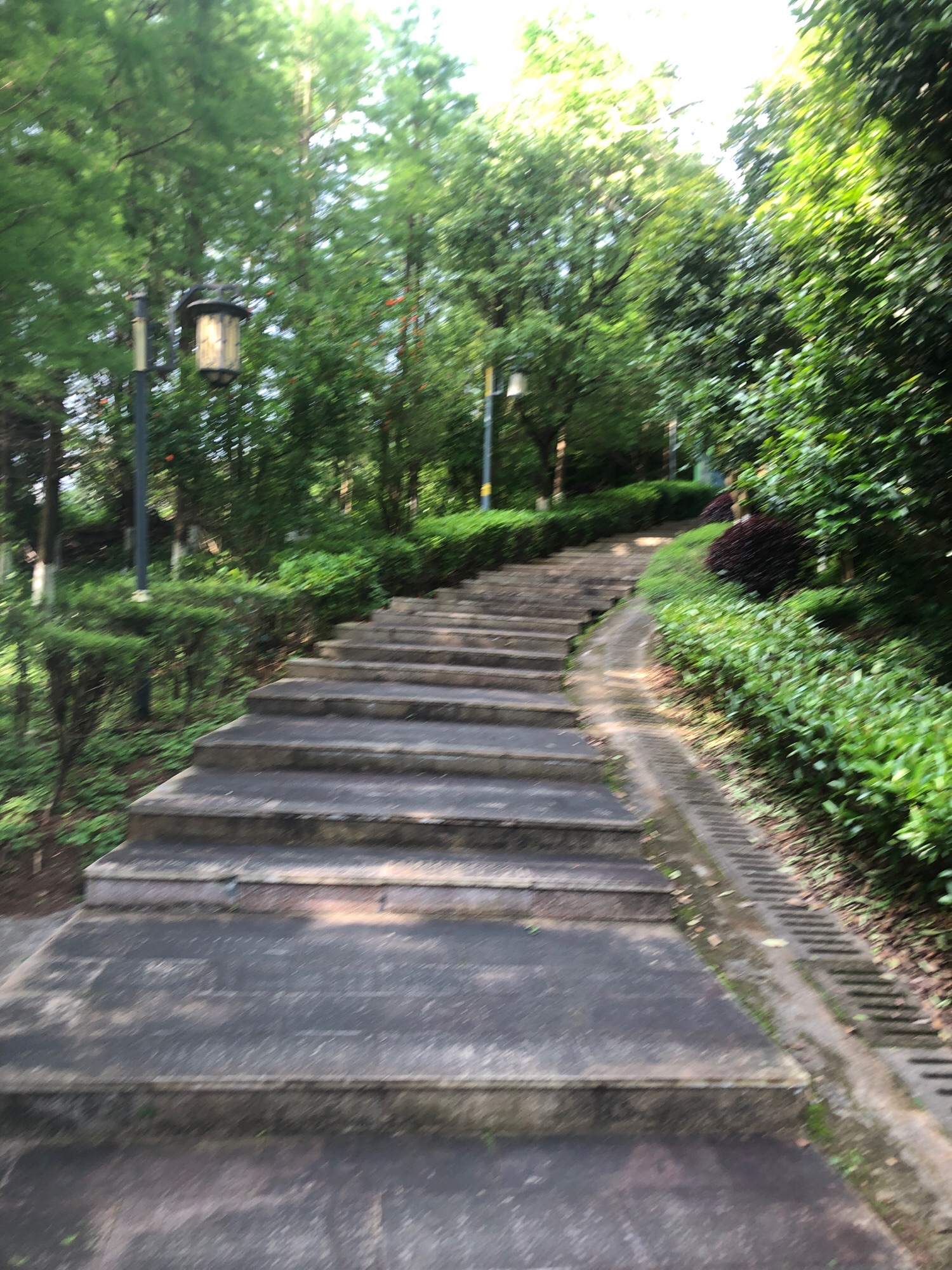 黄岗山公园旅行图片 1