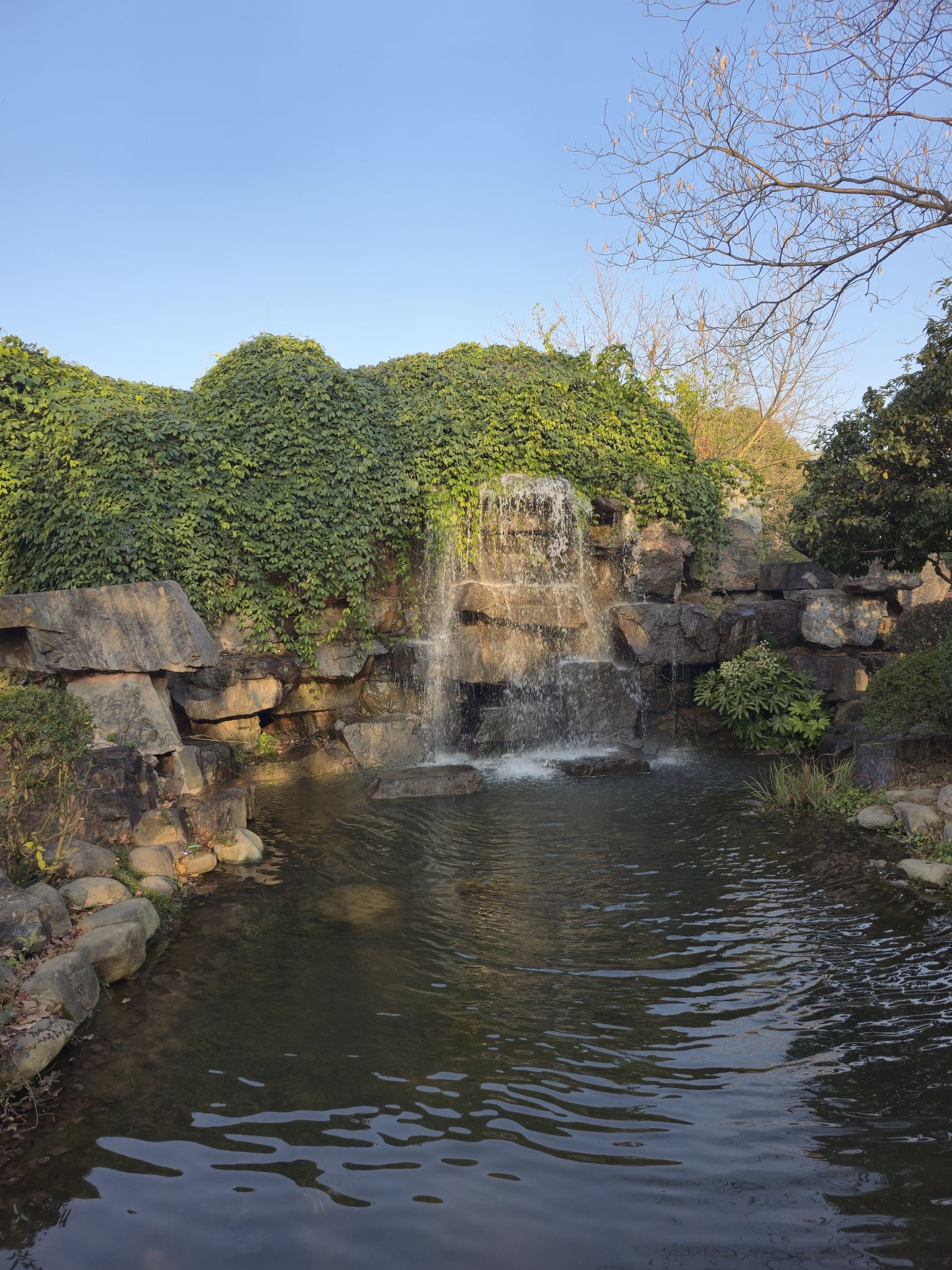 崇明公园