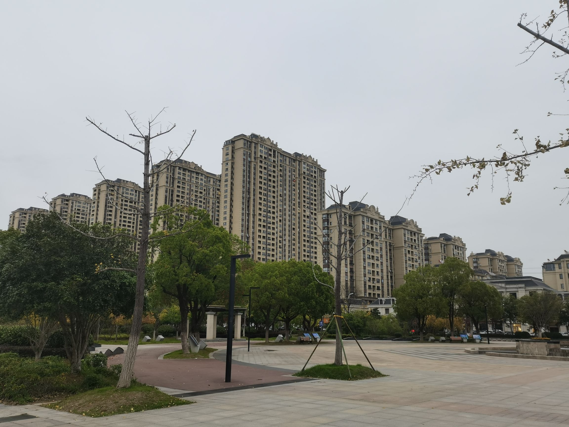 崇明公园旅行图片 3
