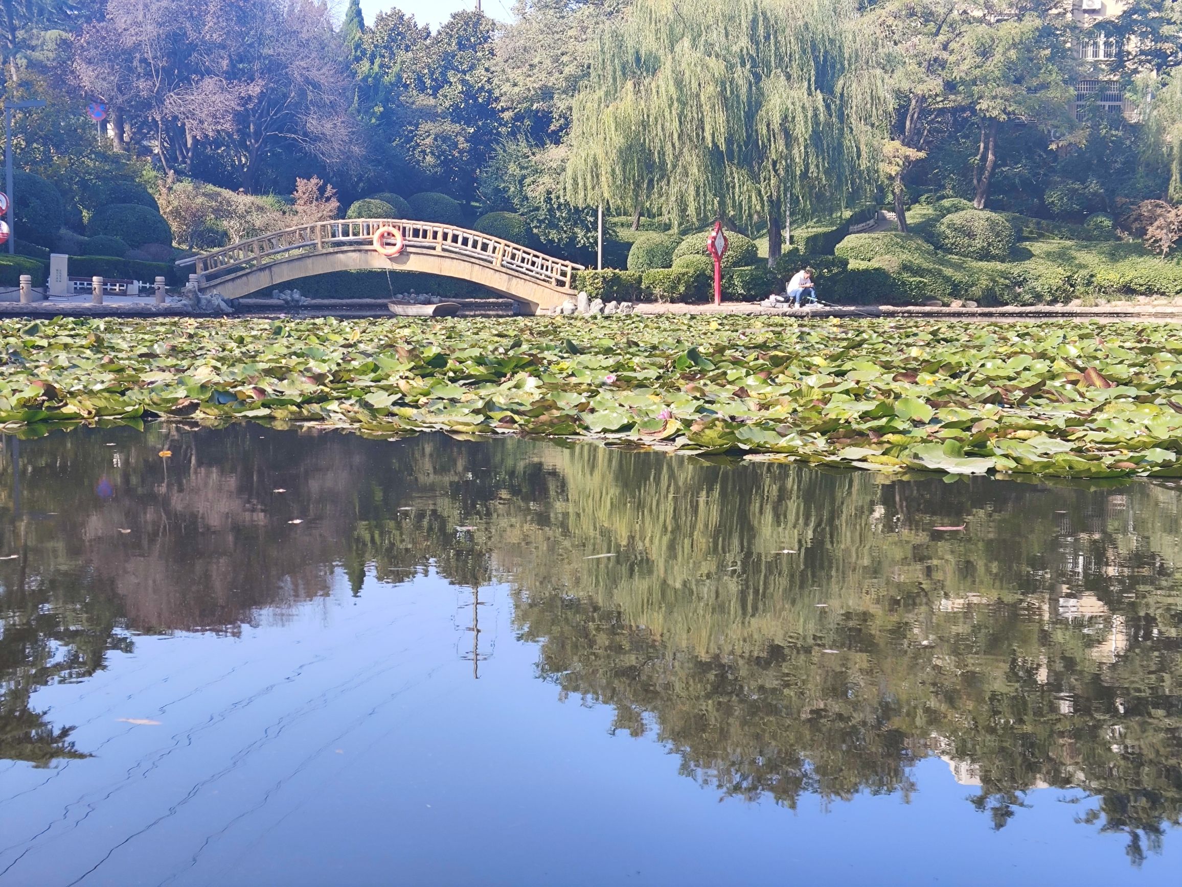 西山老年主题公园旅行图片 3