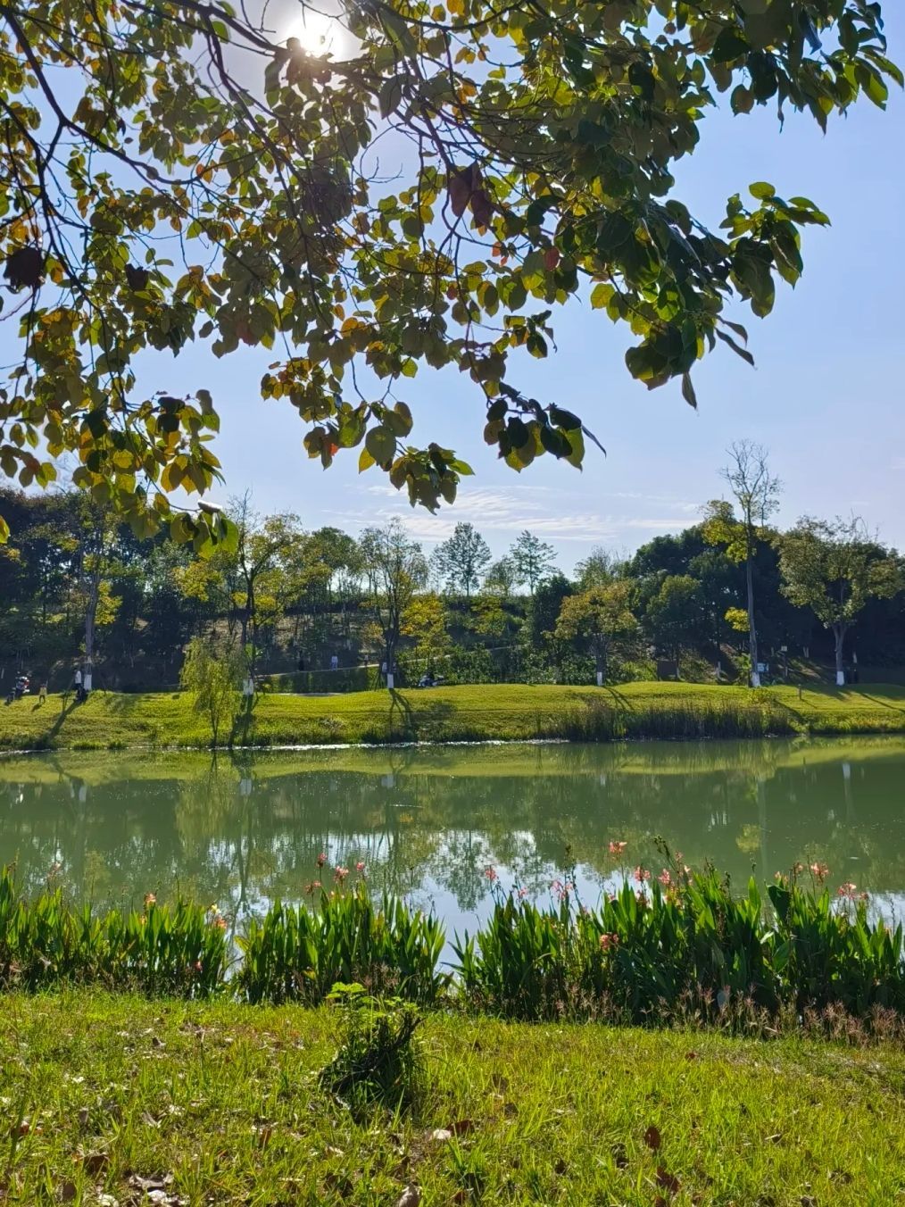 小枧城市生态湿地公园