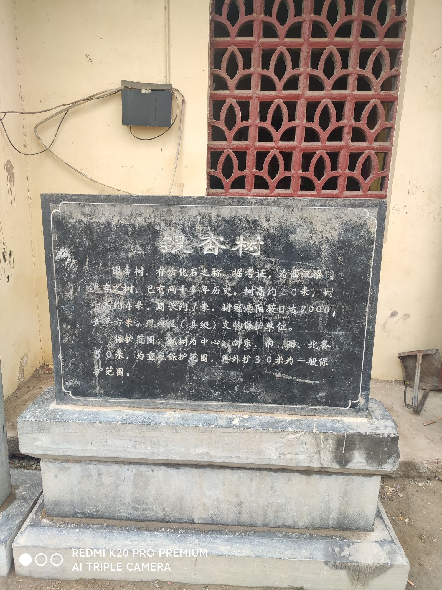 白银寺旅行图片 2