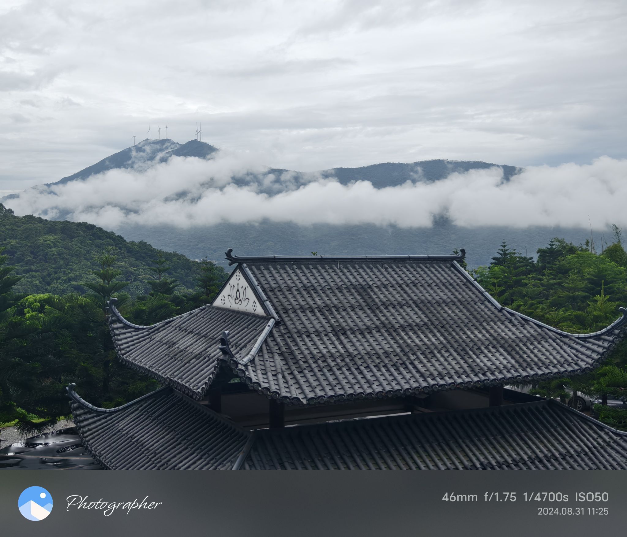 信愿寺旅行图片 3