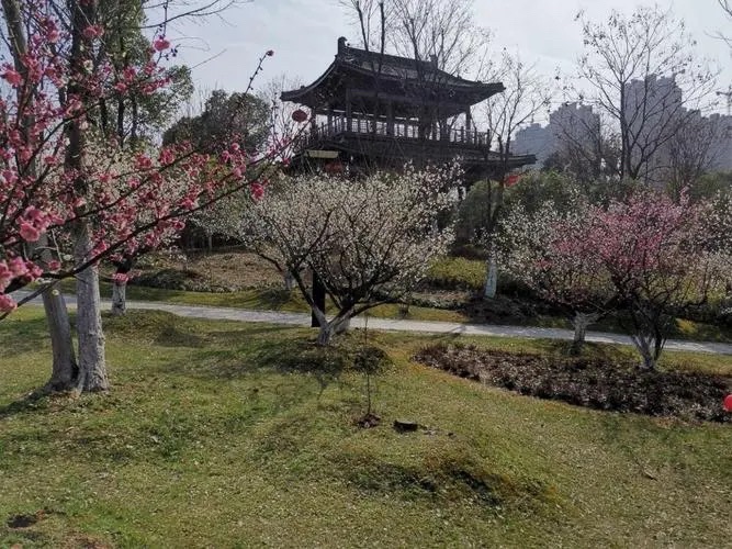 贾纪山公园