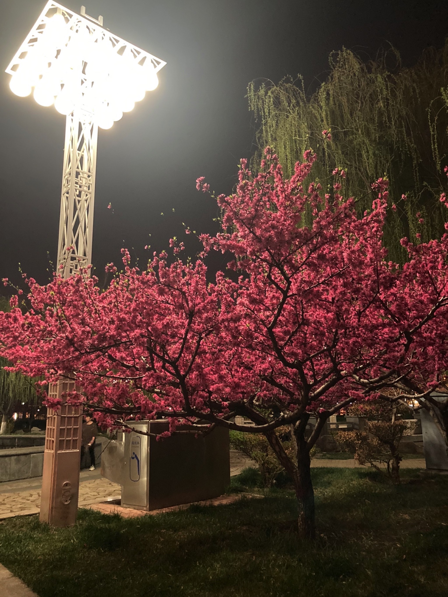 香涛公园旅行图片 1